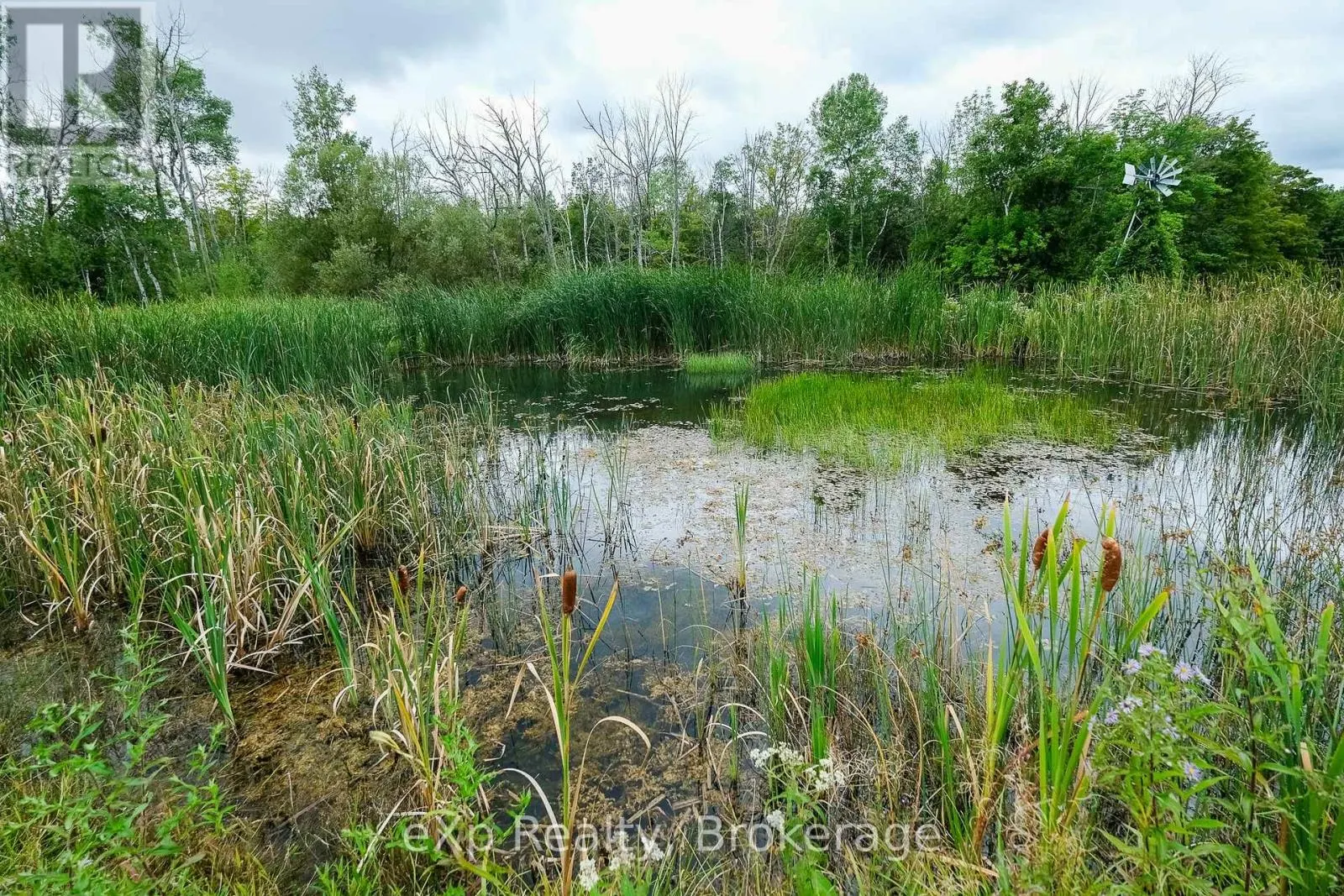 502032 GREY ROAD 1
