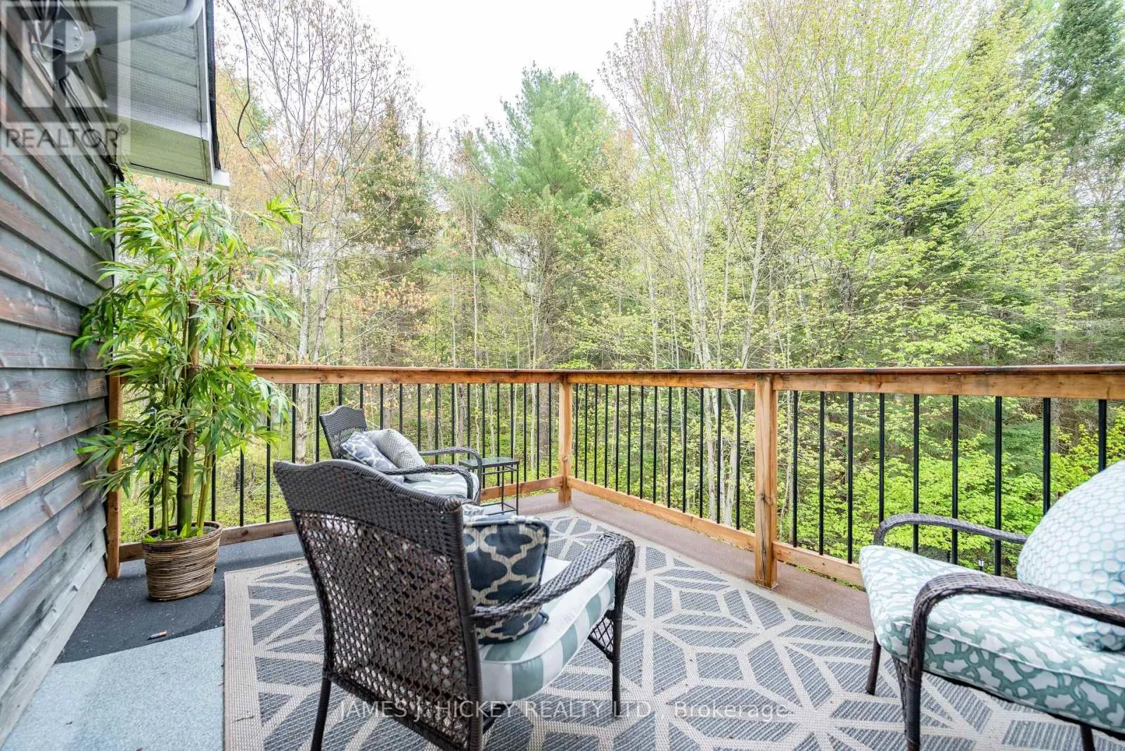 107 HARVEY CREEK ROAD