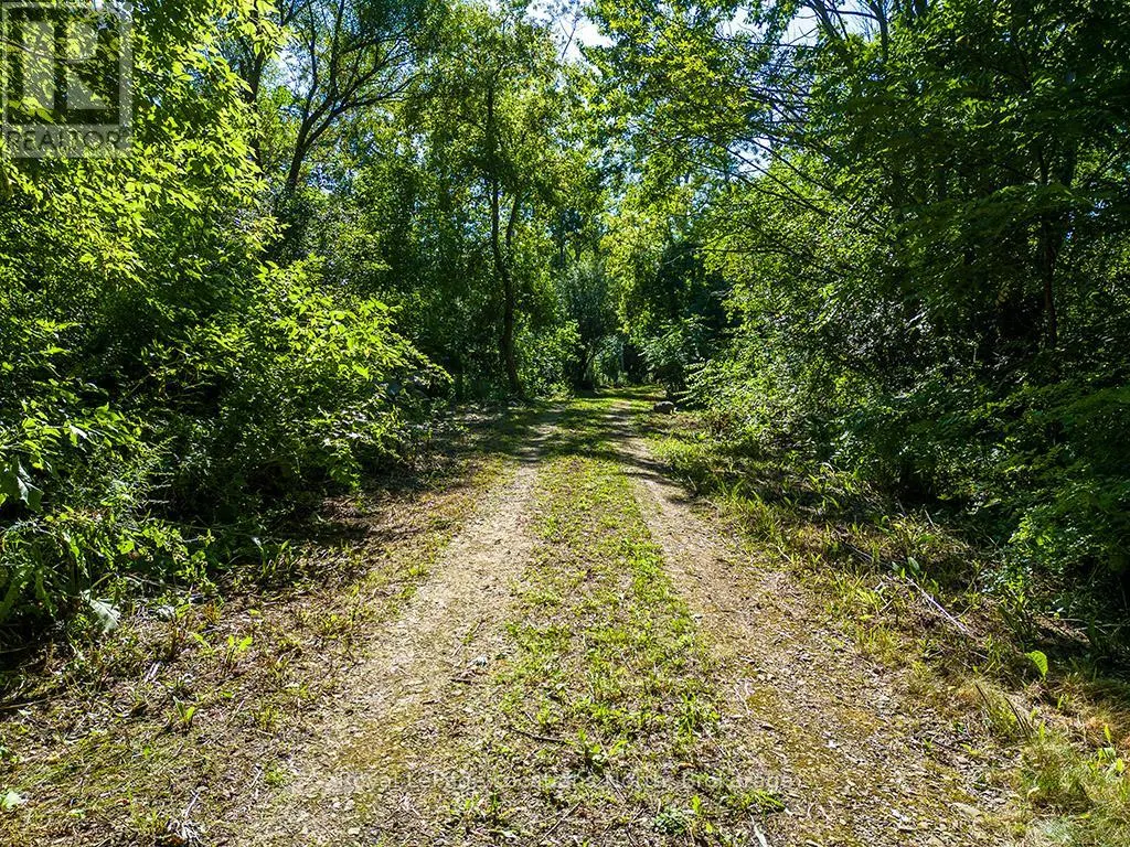 PTLT 12 7 GREY ROAD