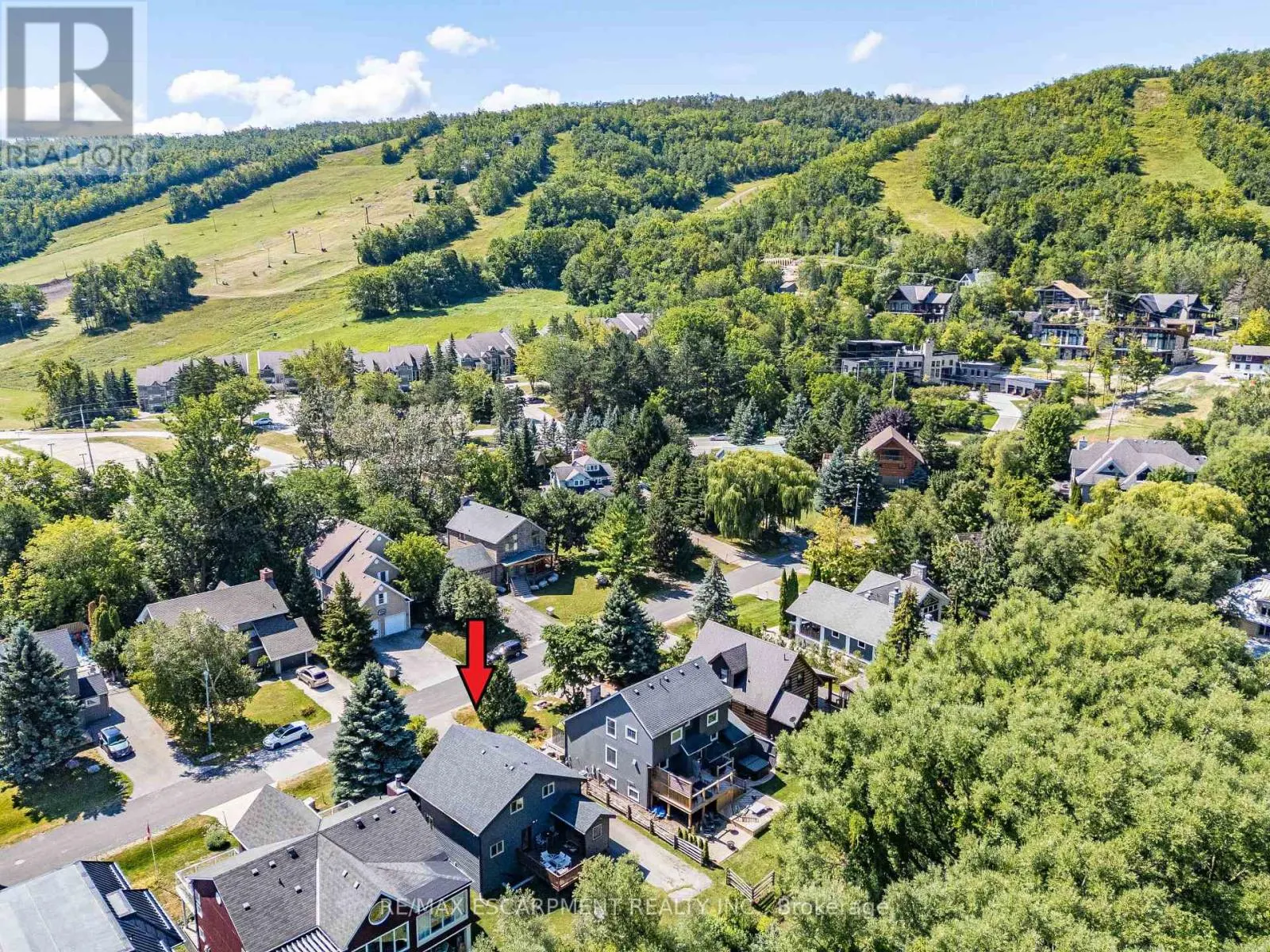 115 PIONEER LANE