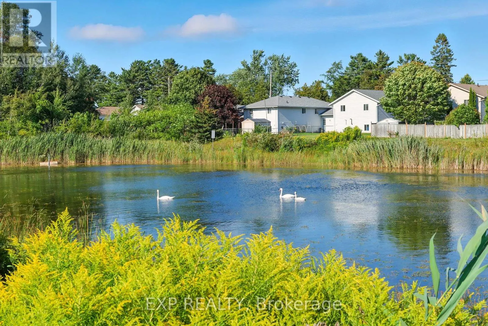 6 COVE COURT