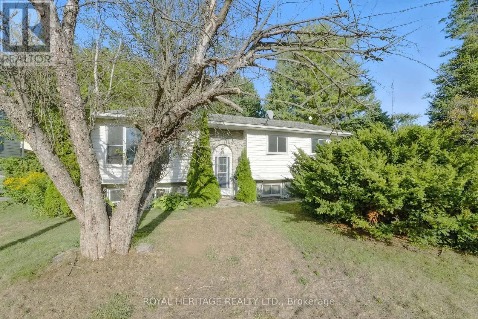45 MAPLEWOOD AVENUE