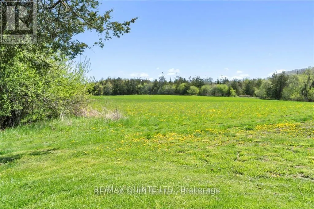 213 GOMMORAH ROAD