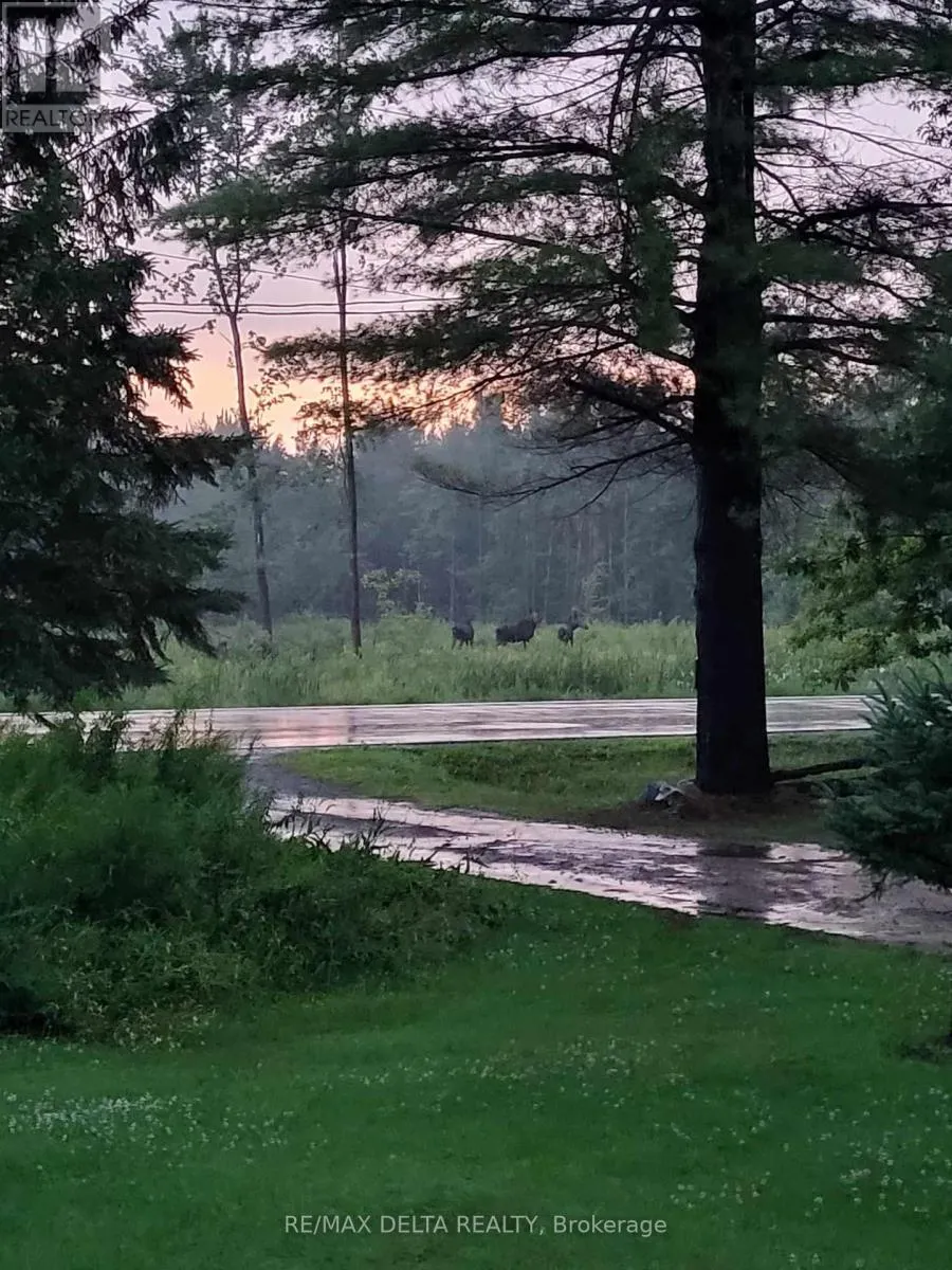 286 COUNTY ROAD 19 ROAD
