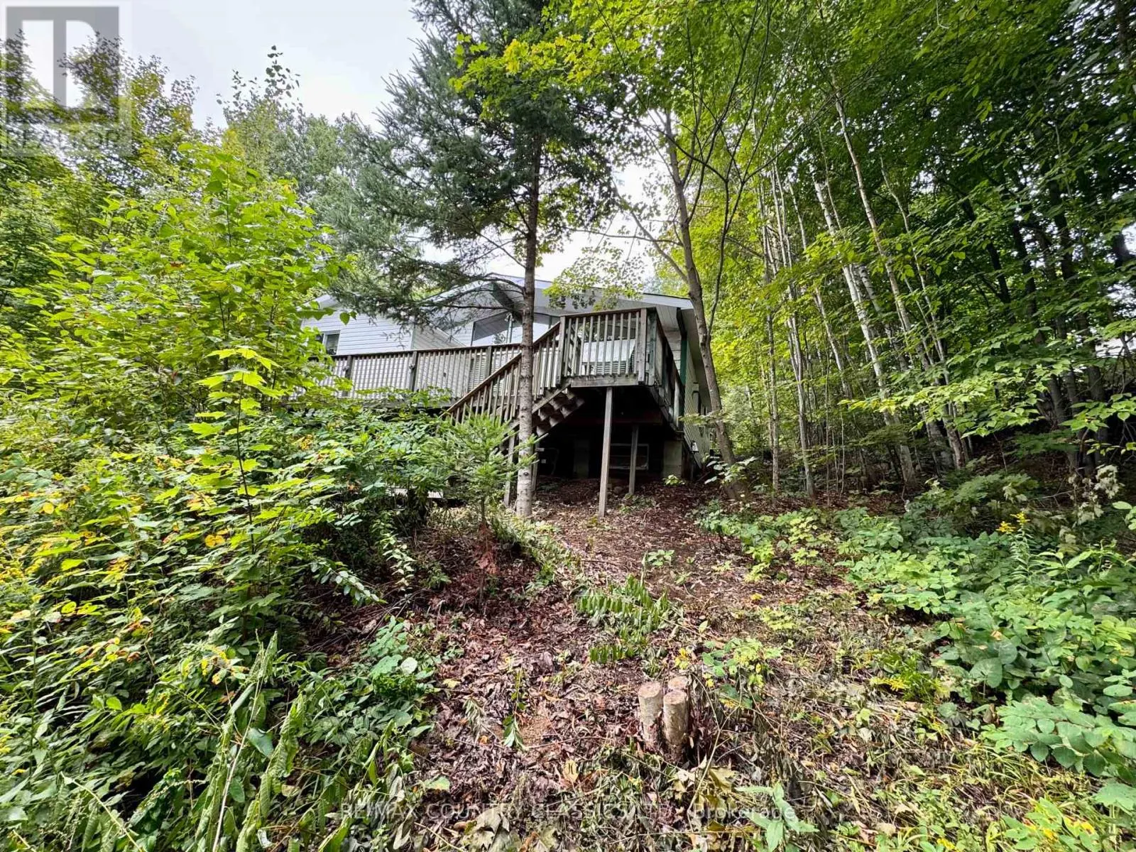 256 ELGIN ROAD