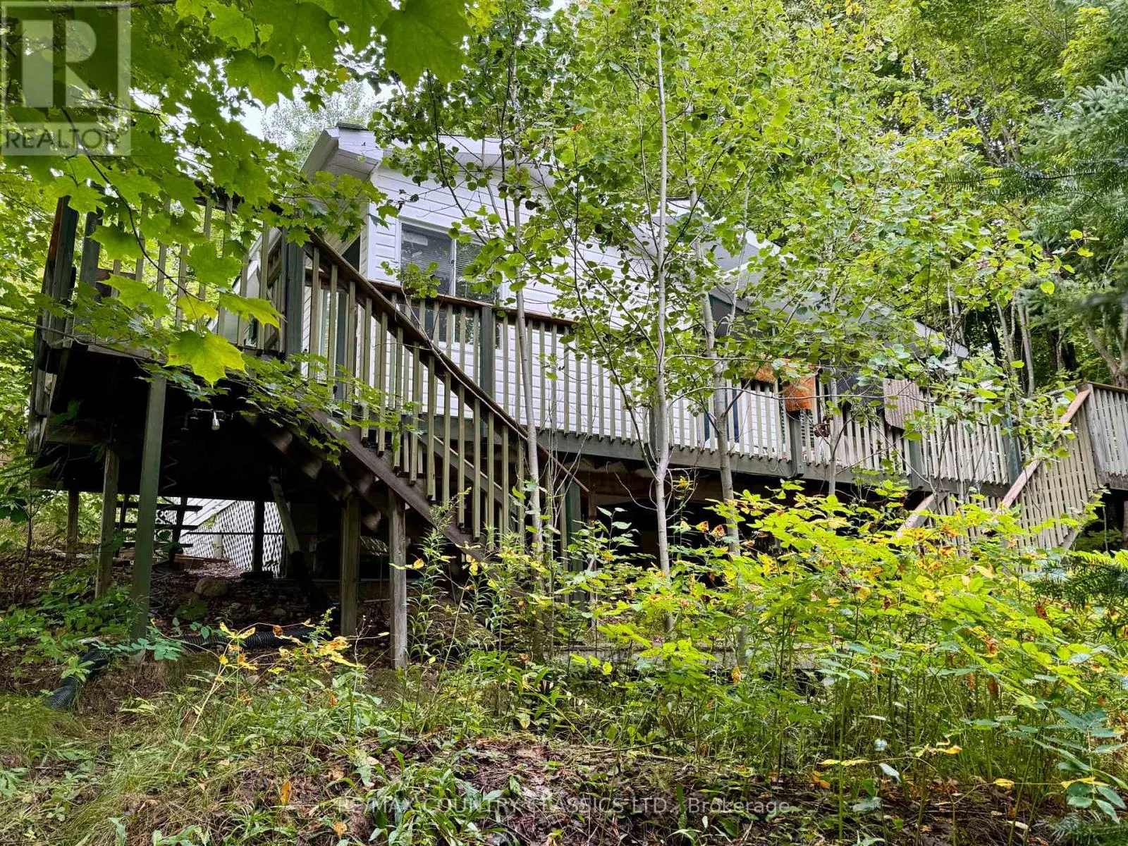256 ELGIN ROAD