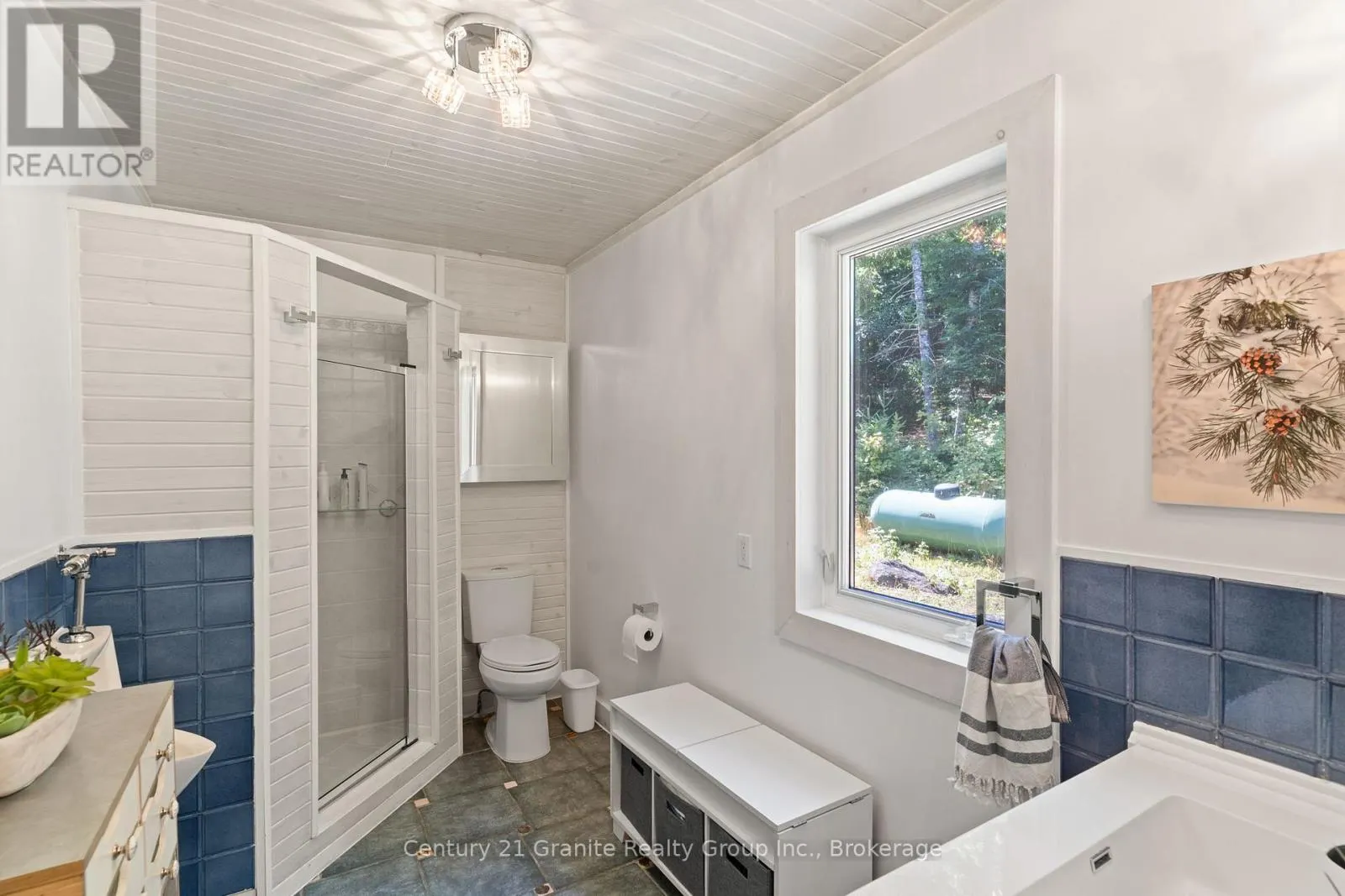 1166 CARROLL ROAD