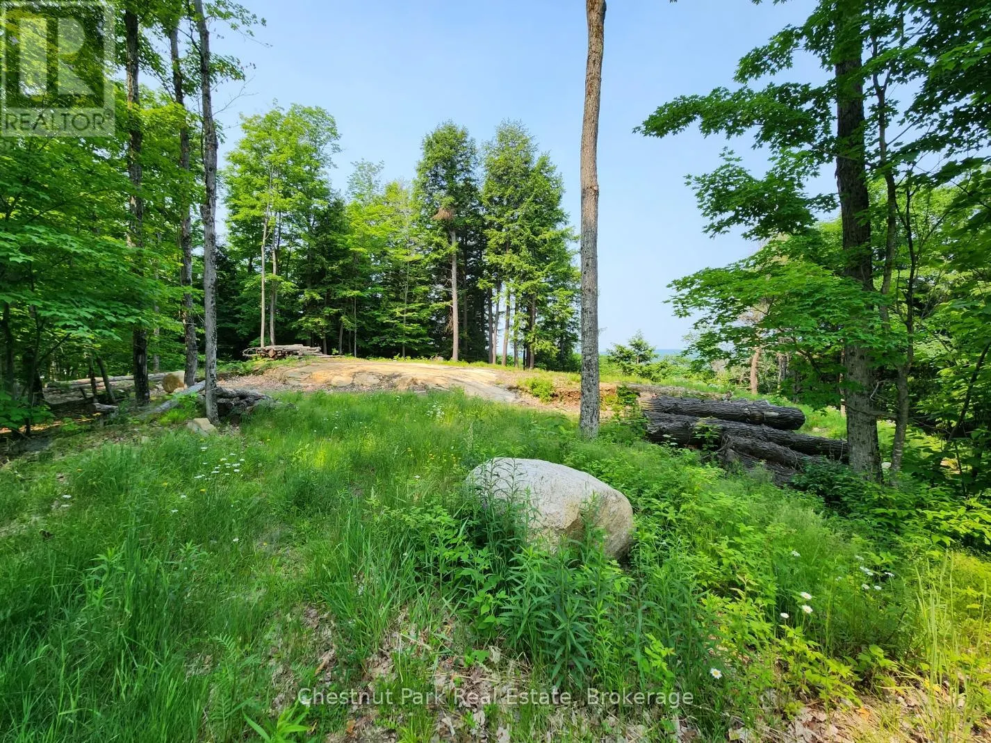 19 OLD HEMLOCK TRAIL