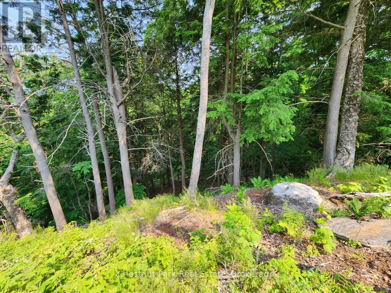 19 OLD HEMLOCK TRAIL