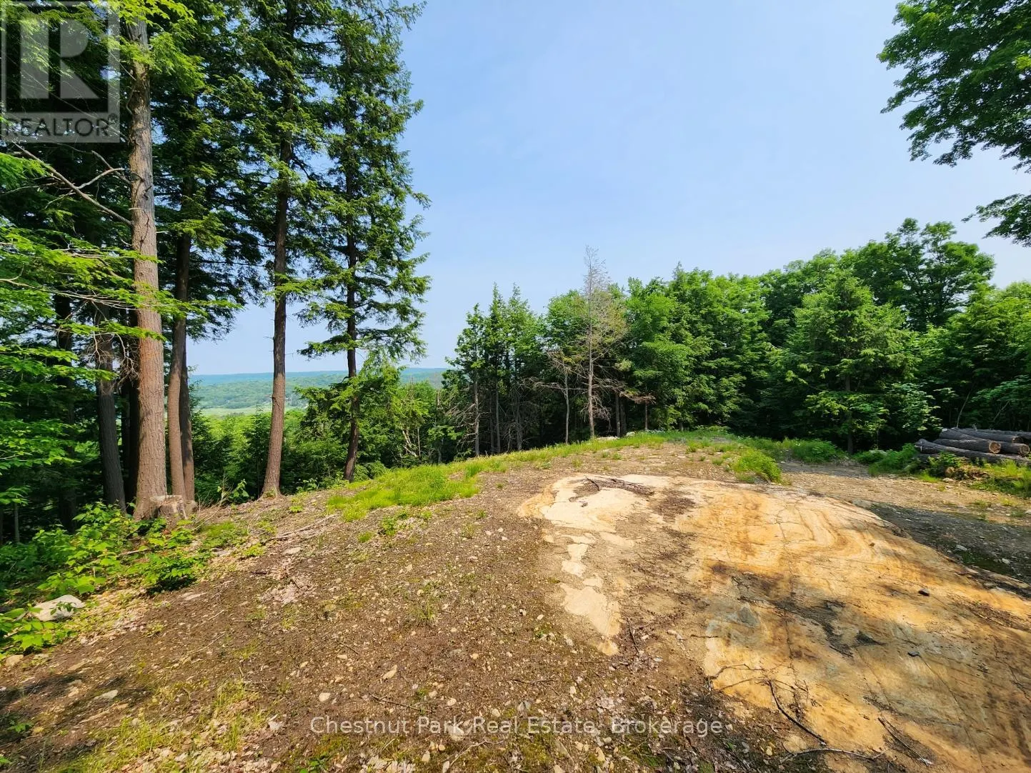 19 OLD HEMLOCK TRAIL