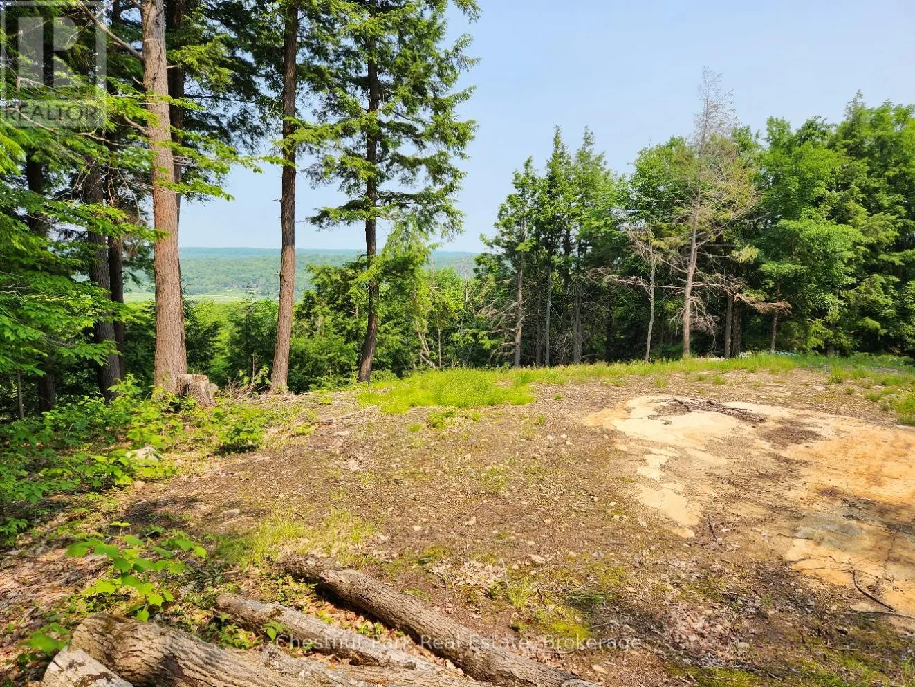 19 OLD HEMLOCK TRAIL