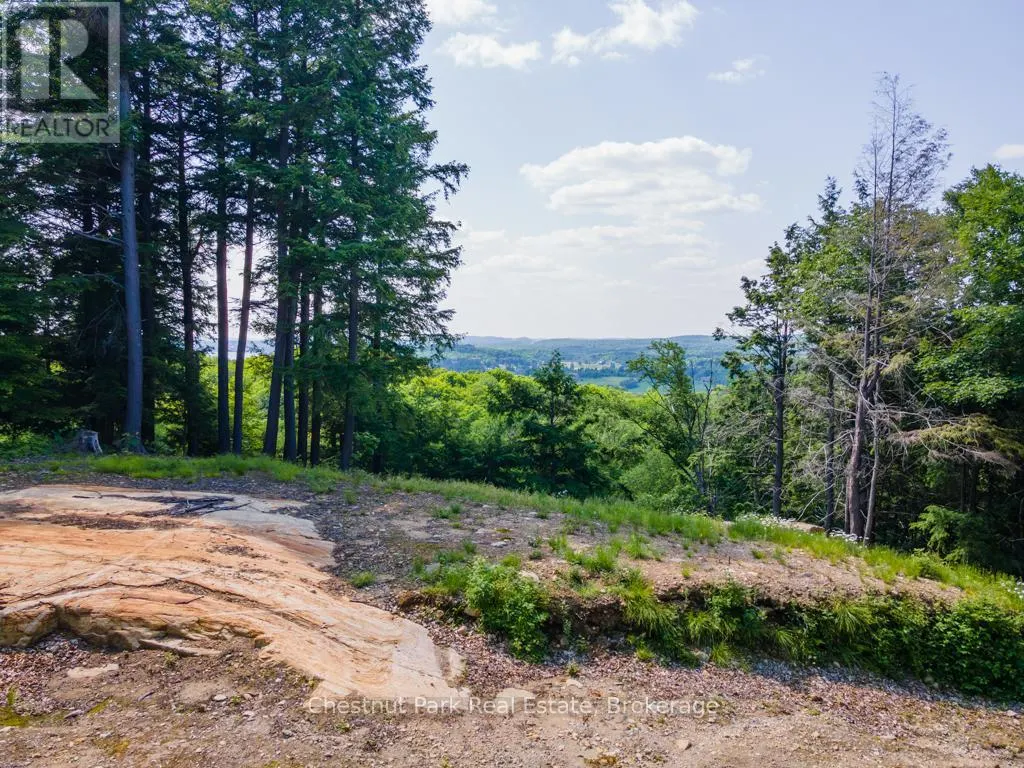 19 OLD HEMLOCK TRAIL