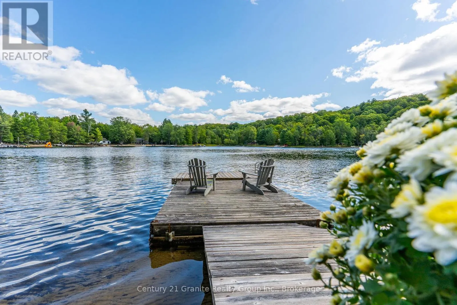 1291 SHANAHAN TRAIL