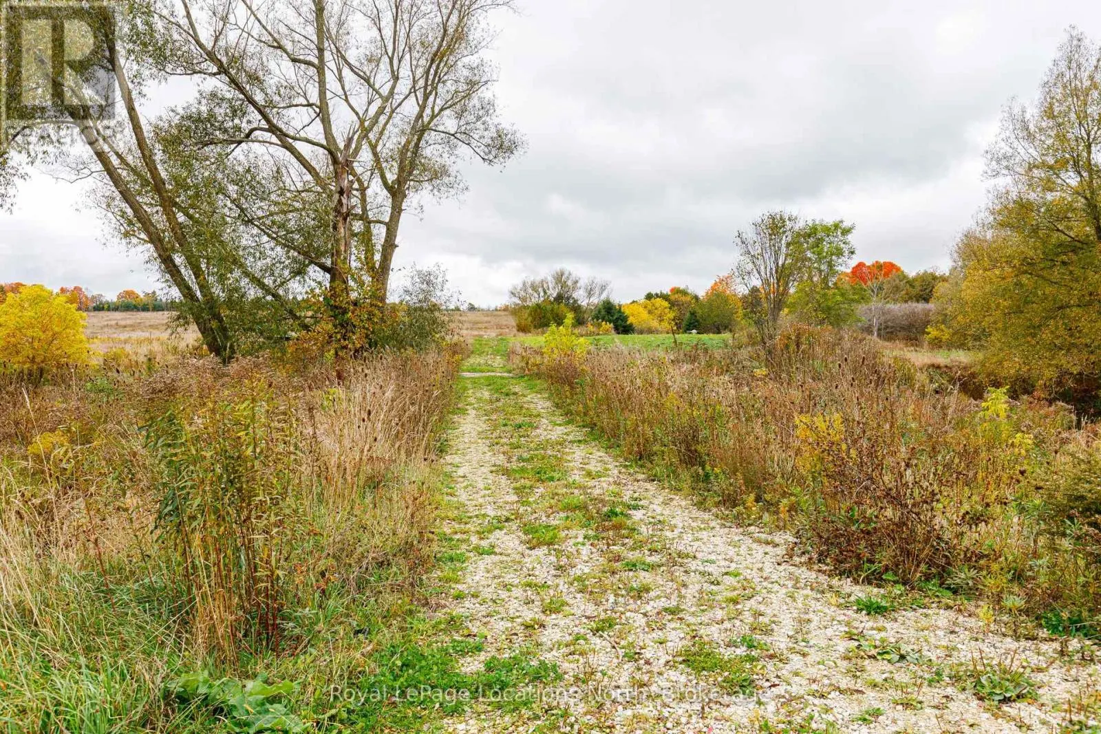 137662 GREY ROAD 12