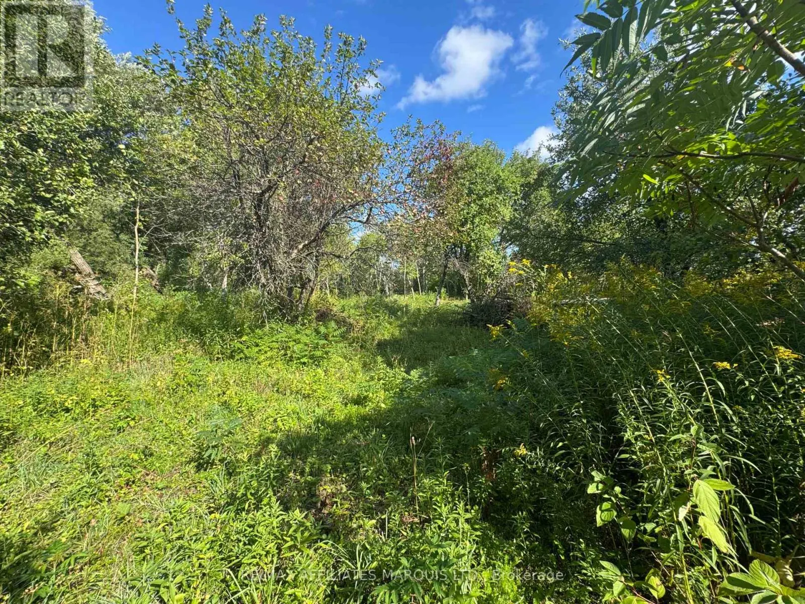 LOT LAPIERRE ROAD