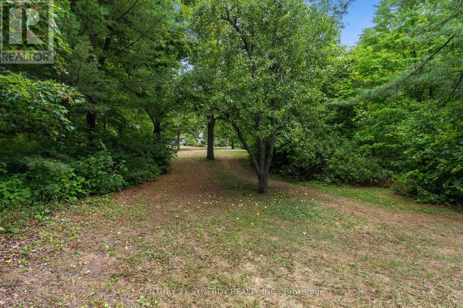 5984 THIRD LINE ROAD N