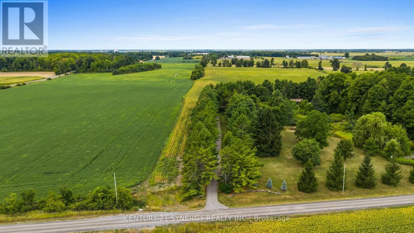 5984 THIRD LINE ROAD N