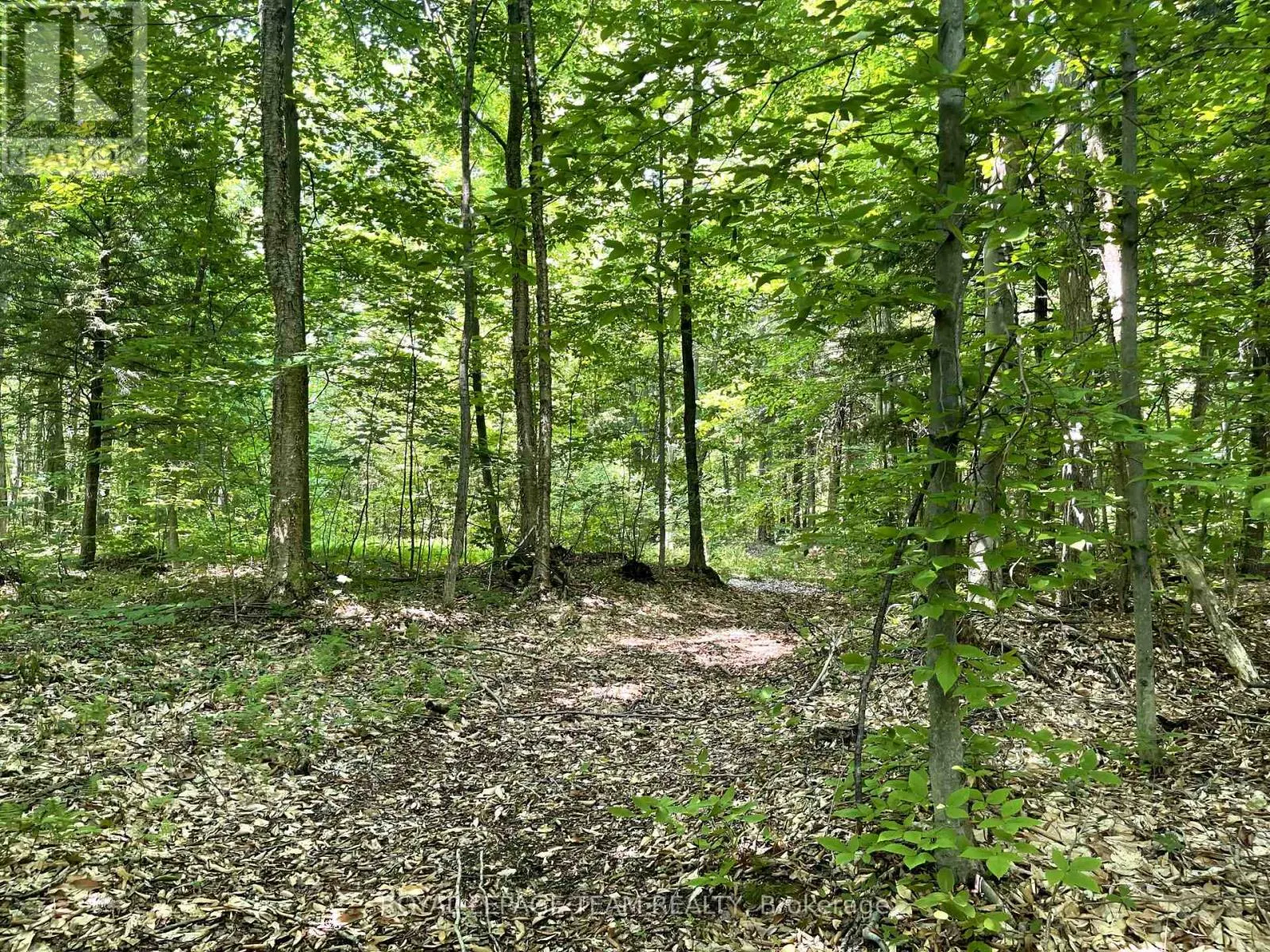 000 DUKELOW ROAD