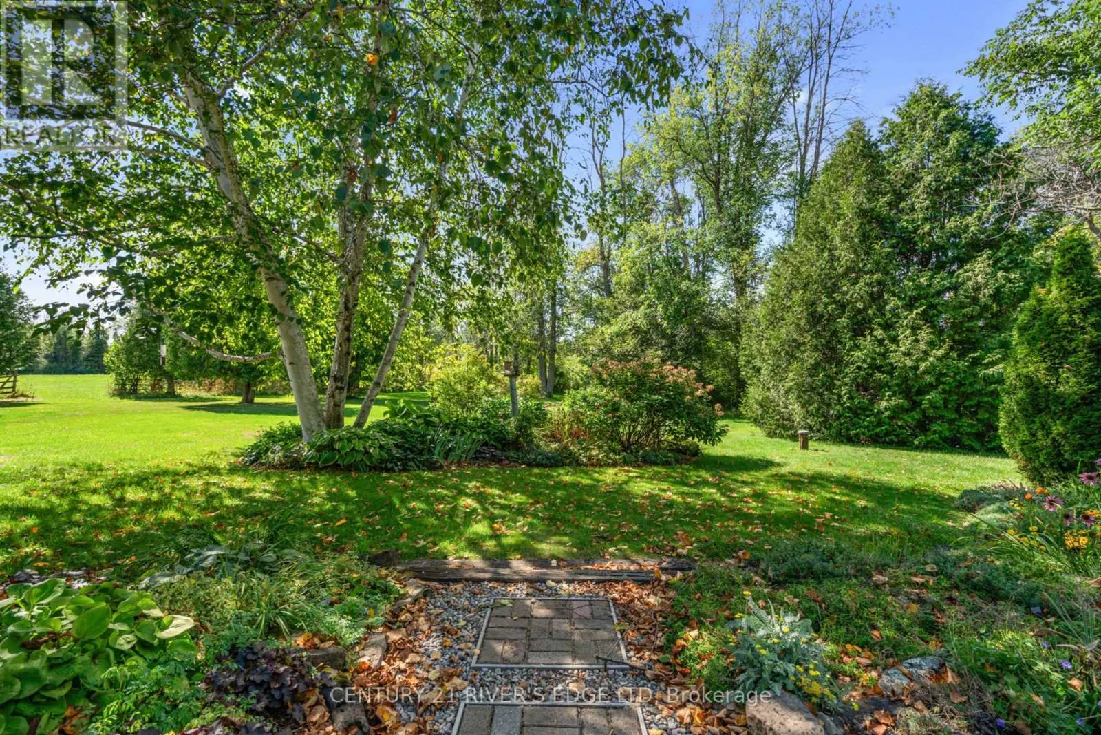 814 PLUMHOLLOW ROAD