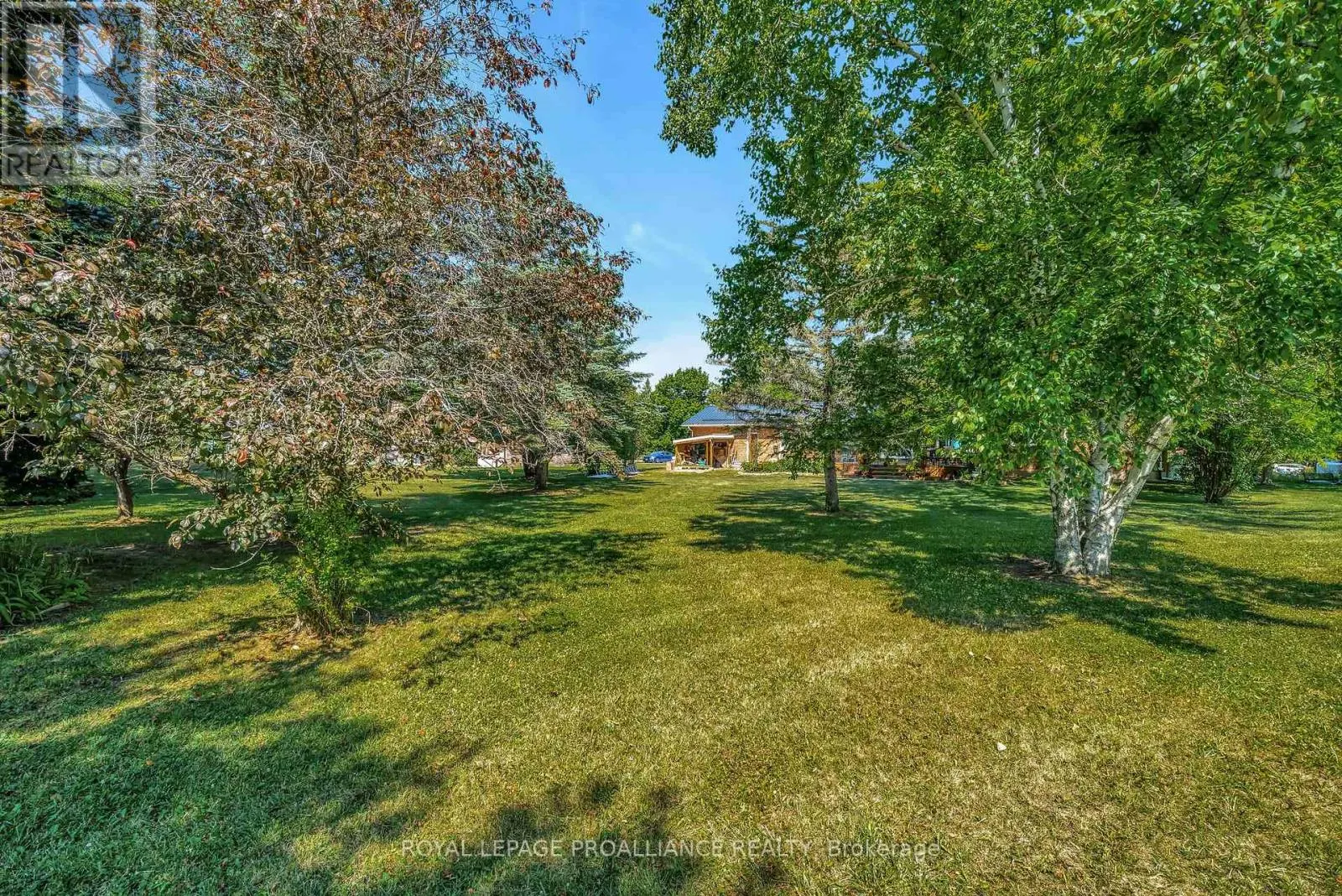 338 COUNTY ROAD 28