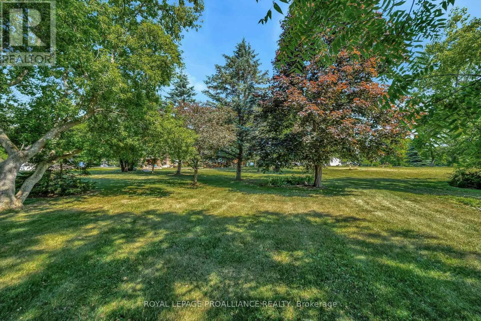 338 COUNTY ROAD 28