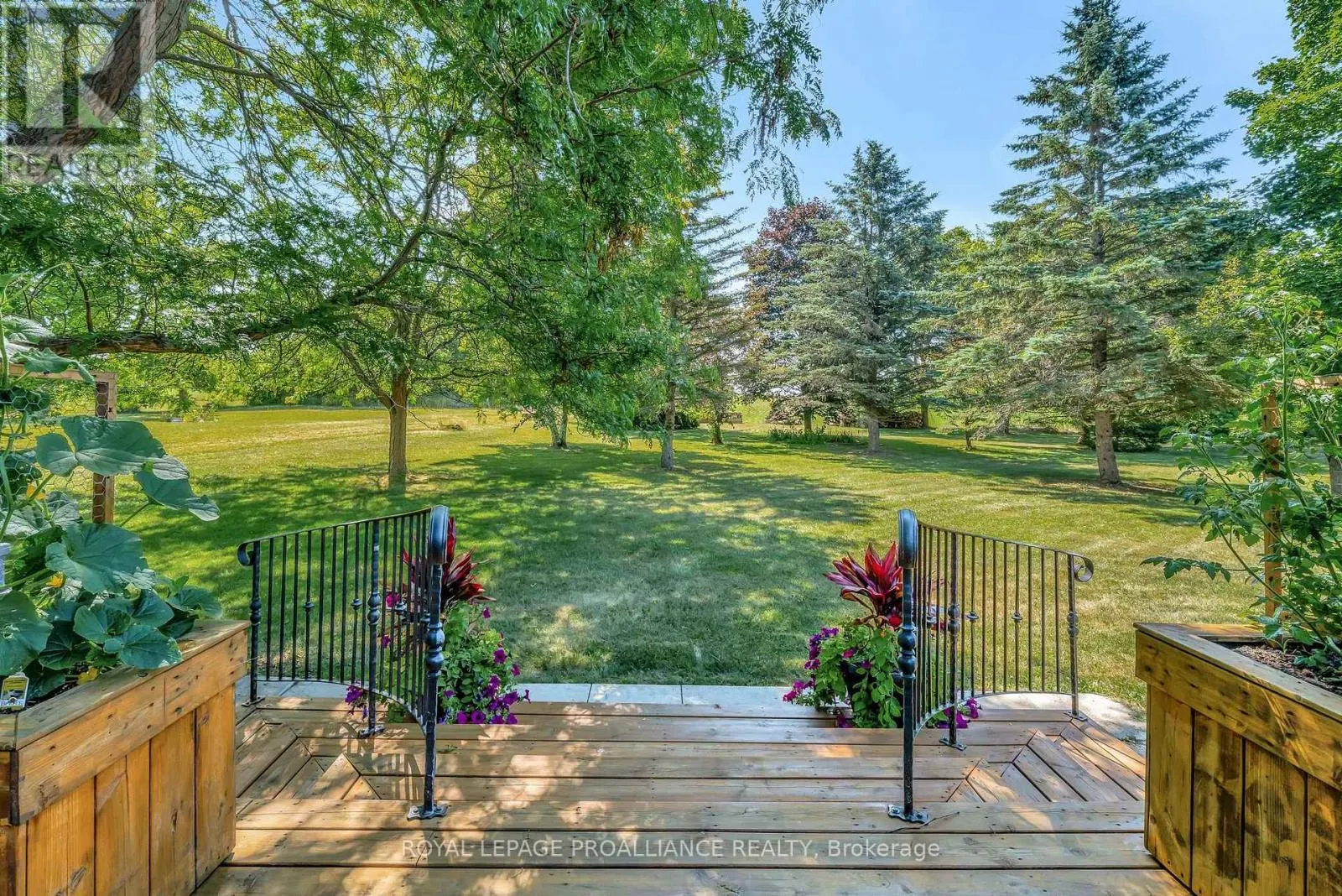 338 COUNTY ROAD 28