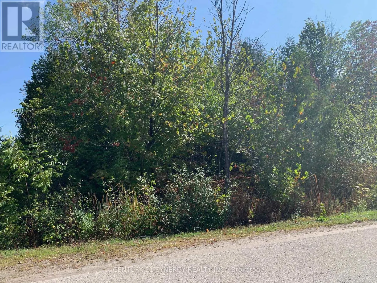 00 BASSWOOD CRESCENT