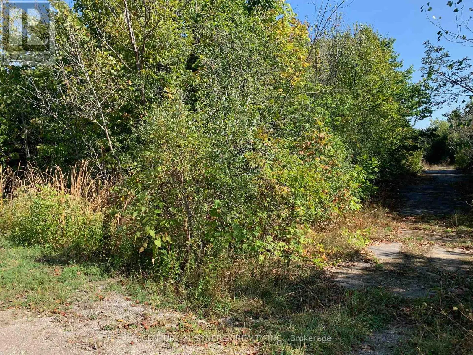 00 BASSWOOD CRESCENT