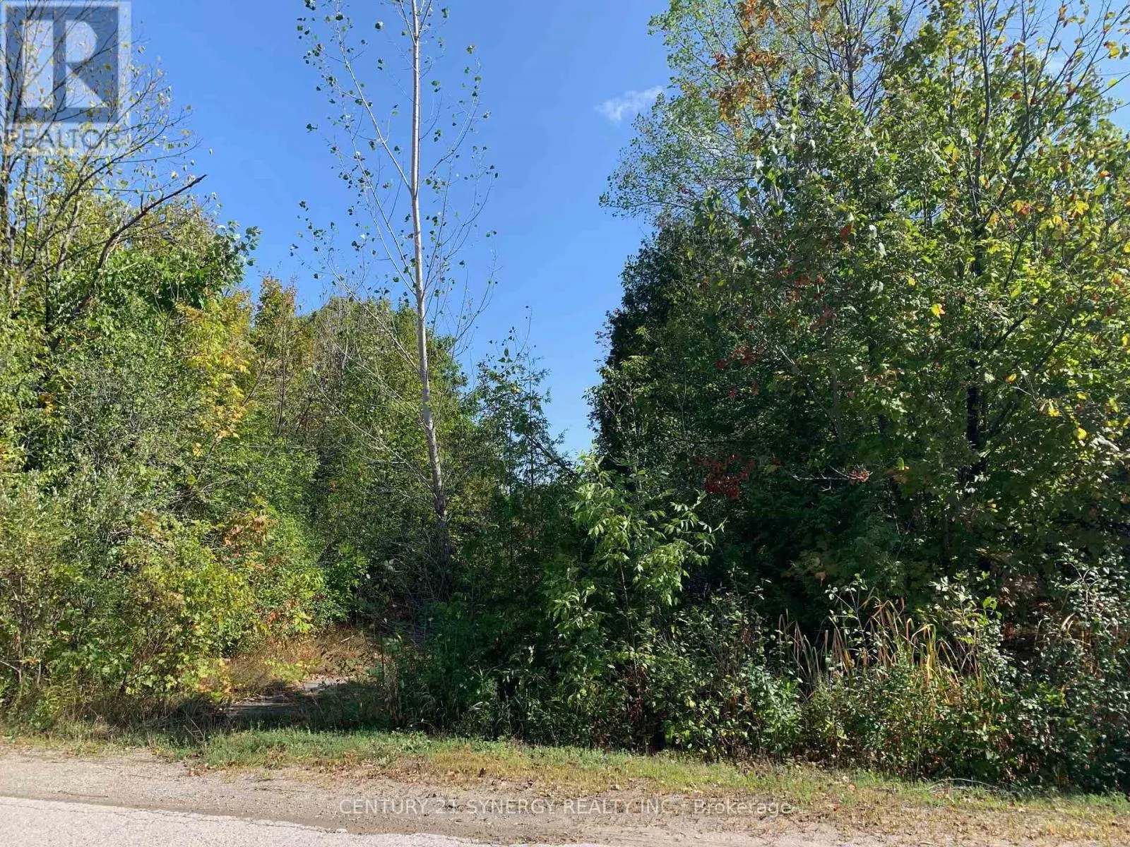 00 BASSWOOD CRESCENT