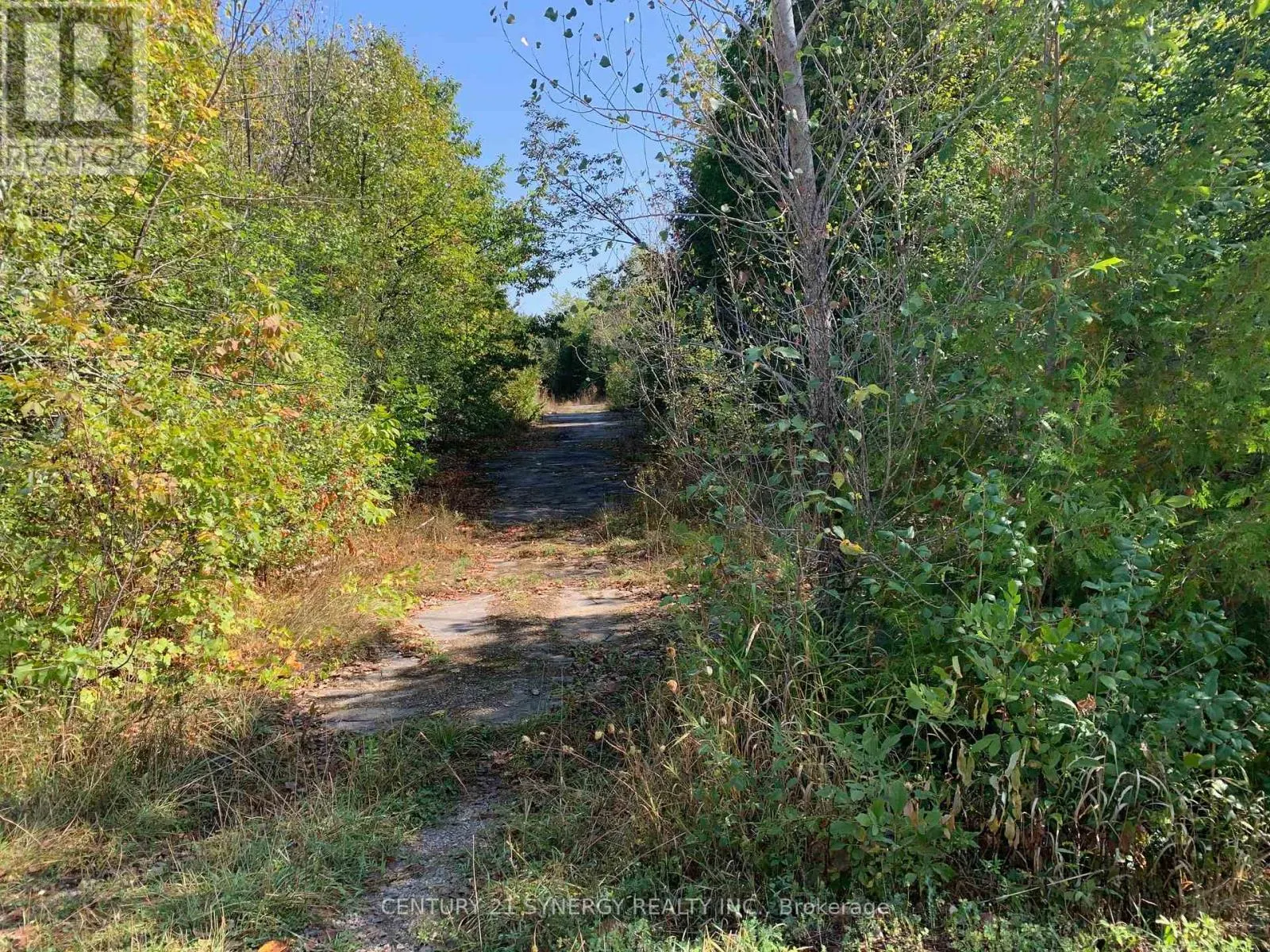 00 BASSWOOD CRESCENT