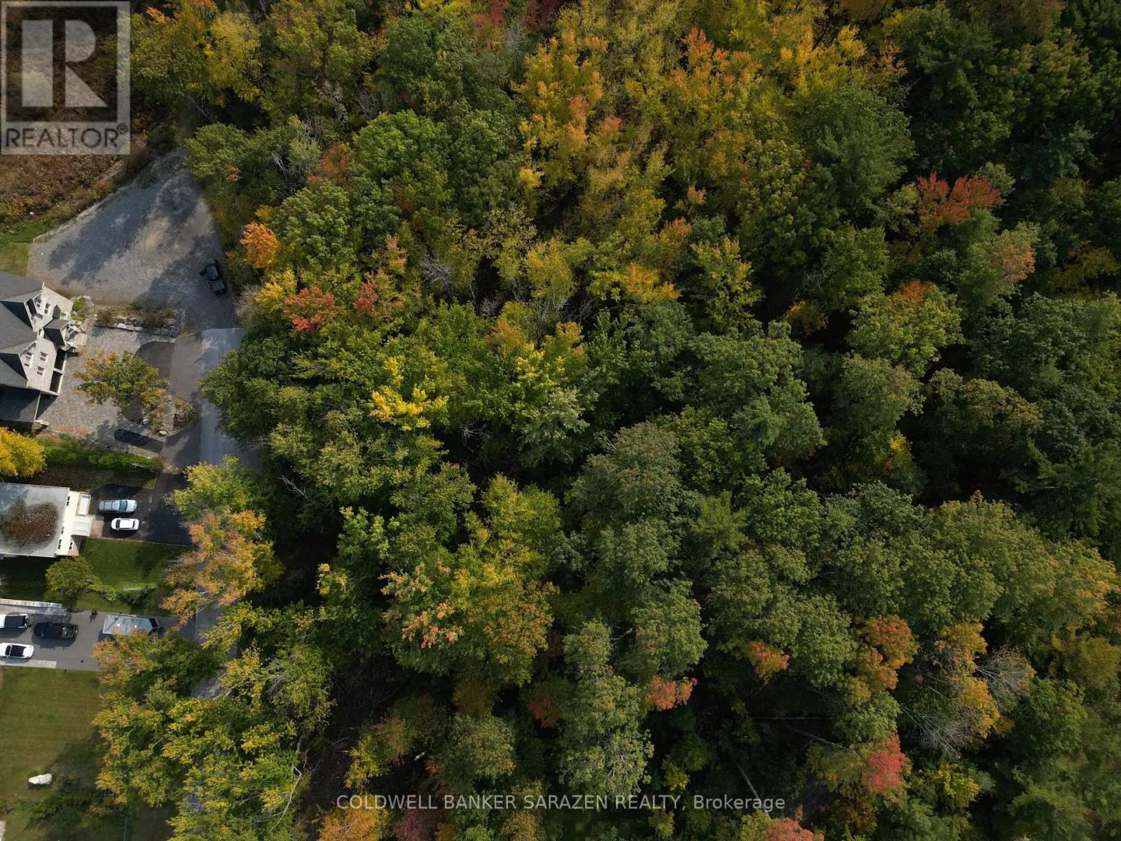 101 ALLBIRCH ROAD