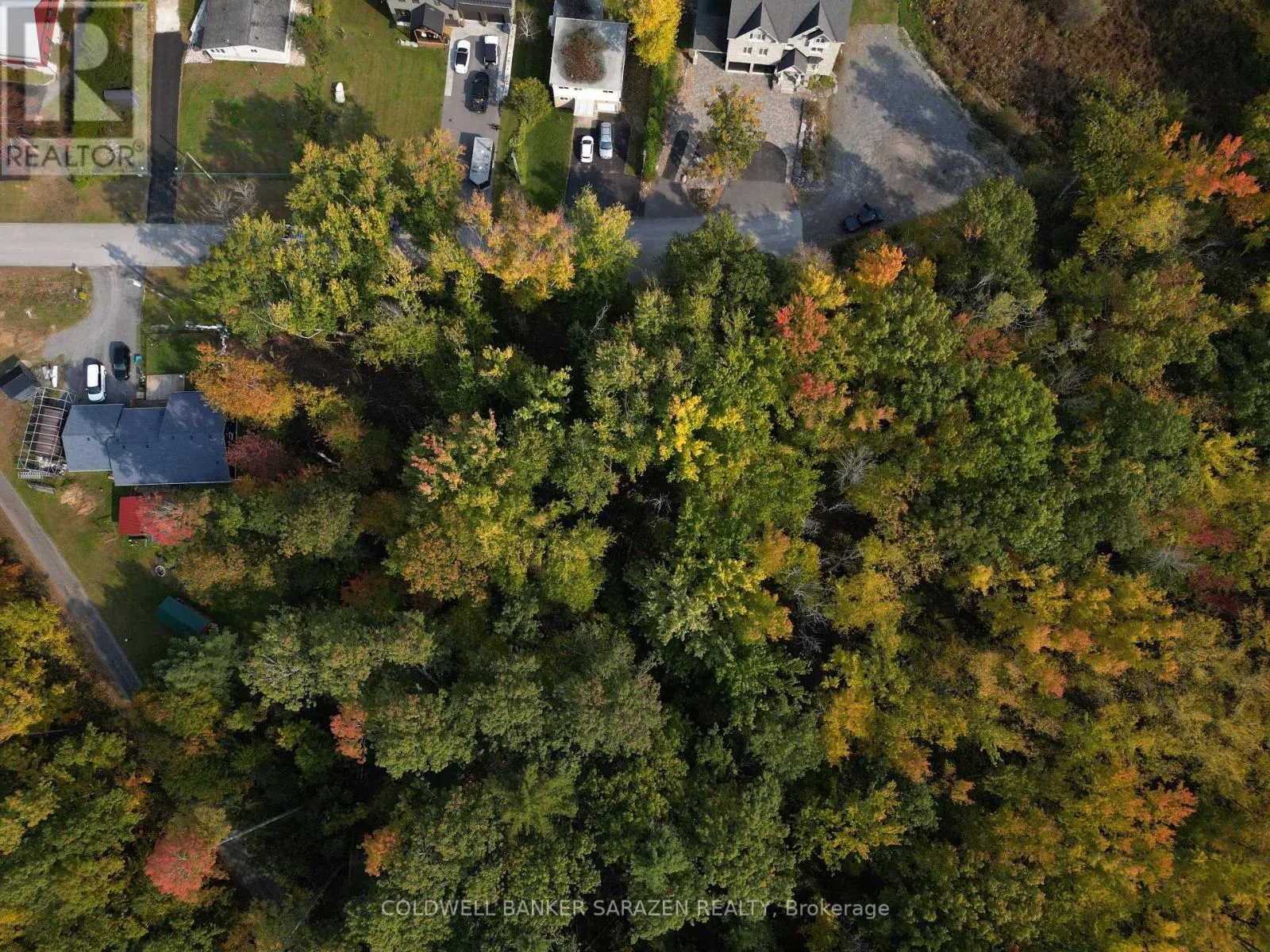 101 ALLBIRCH ROAD