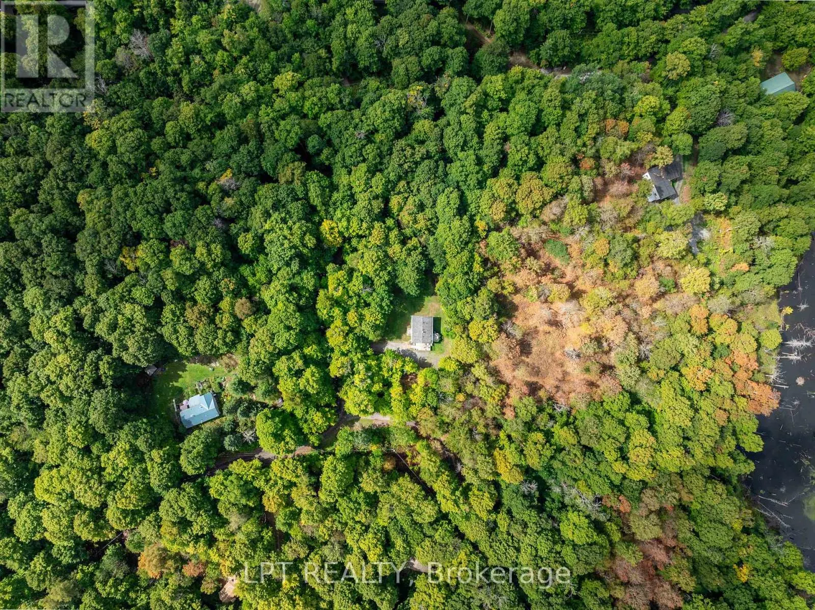 331 MAPLE GROVE LANE