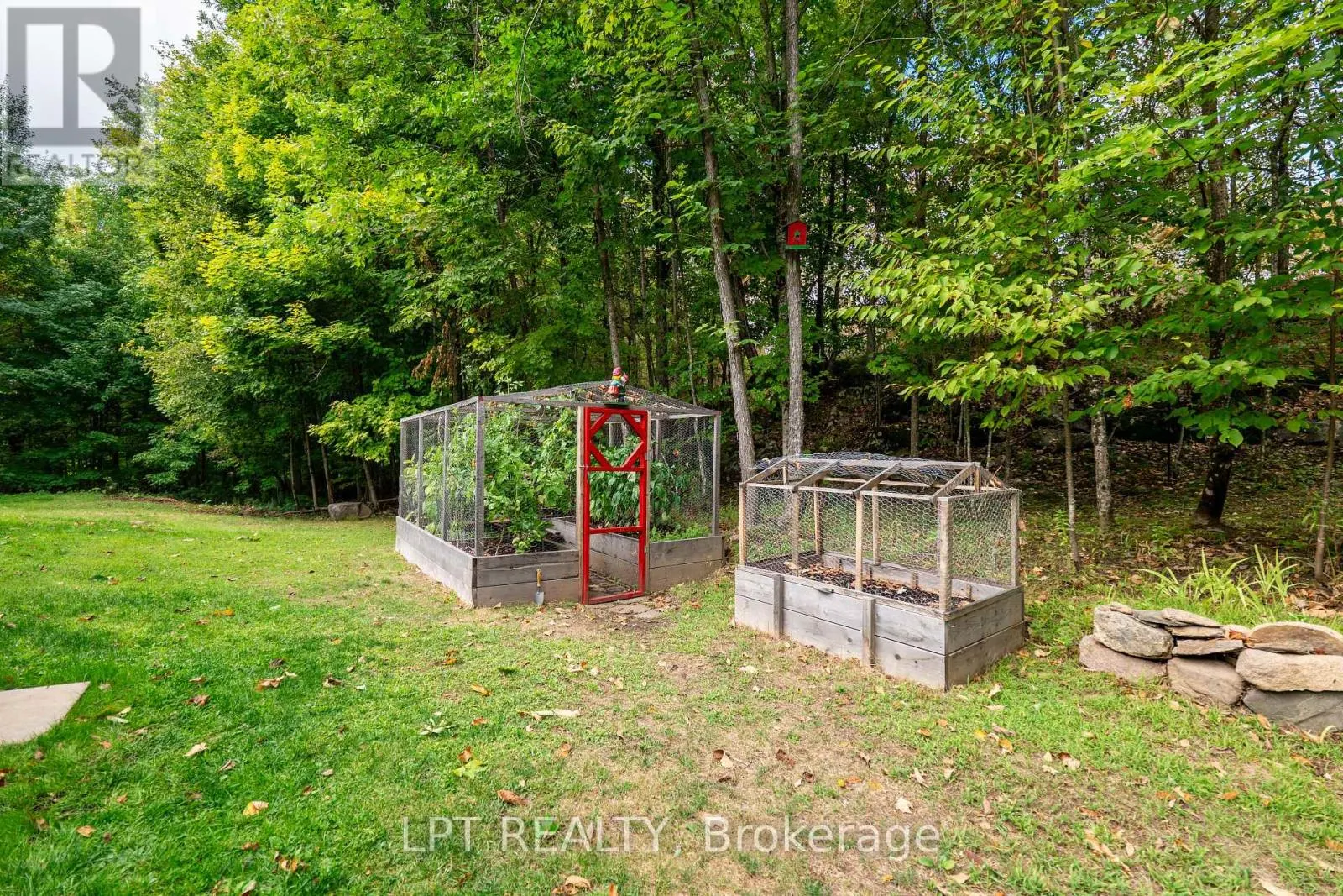 331 MAPLE GROVE LANE