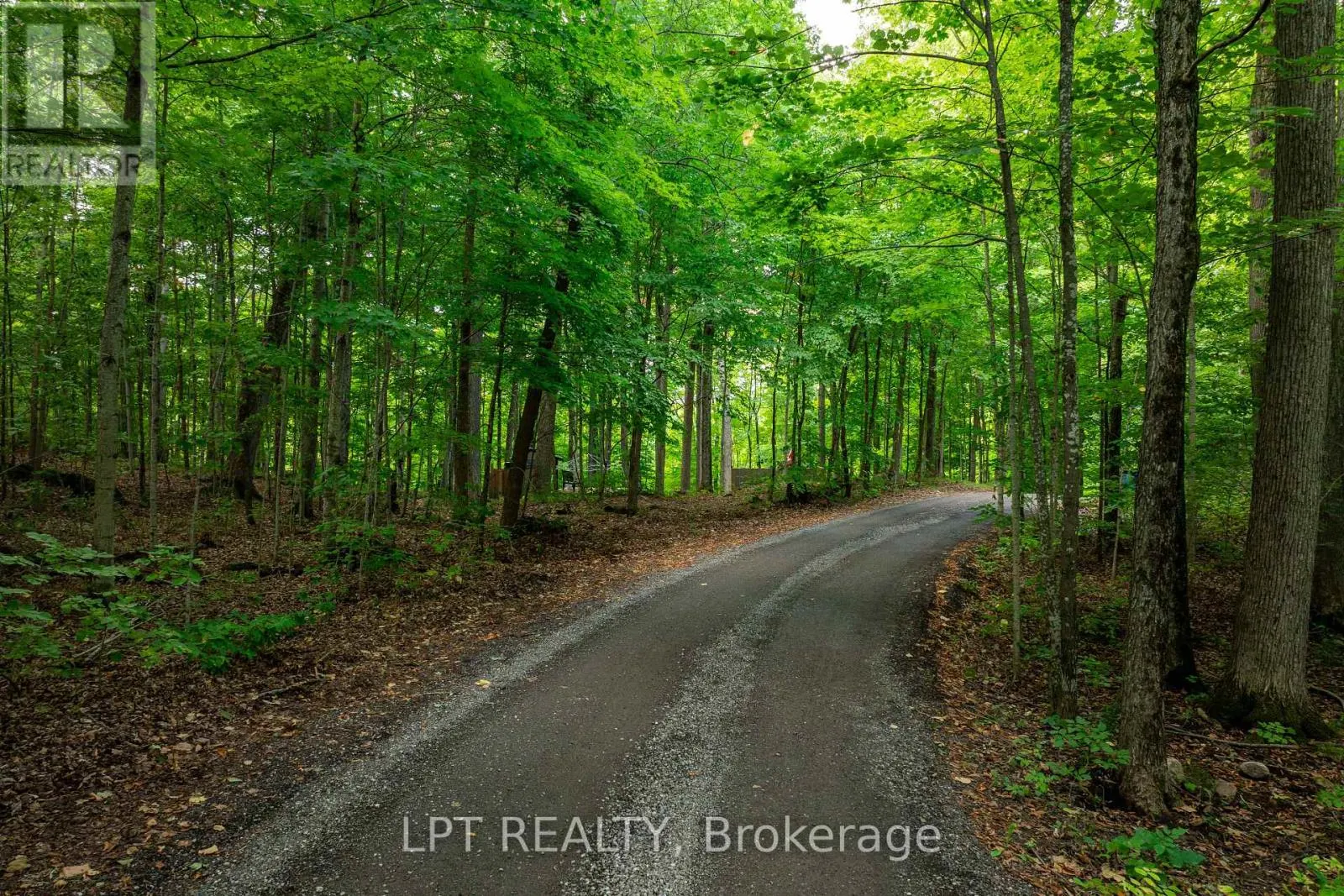 331 MAPLE GROVE LANE