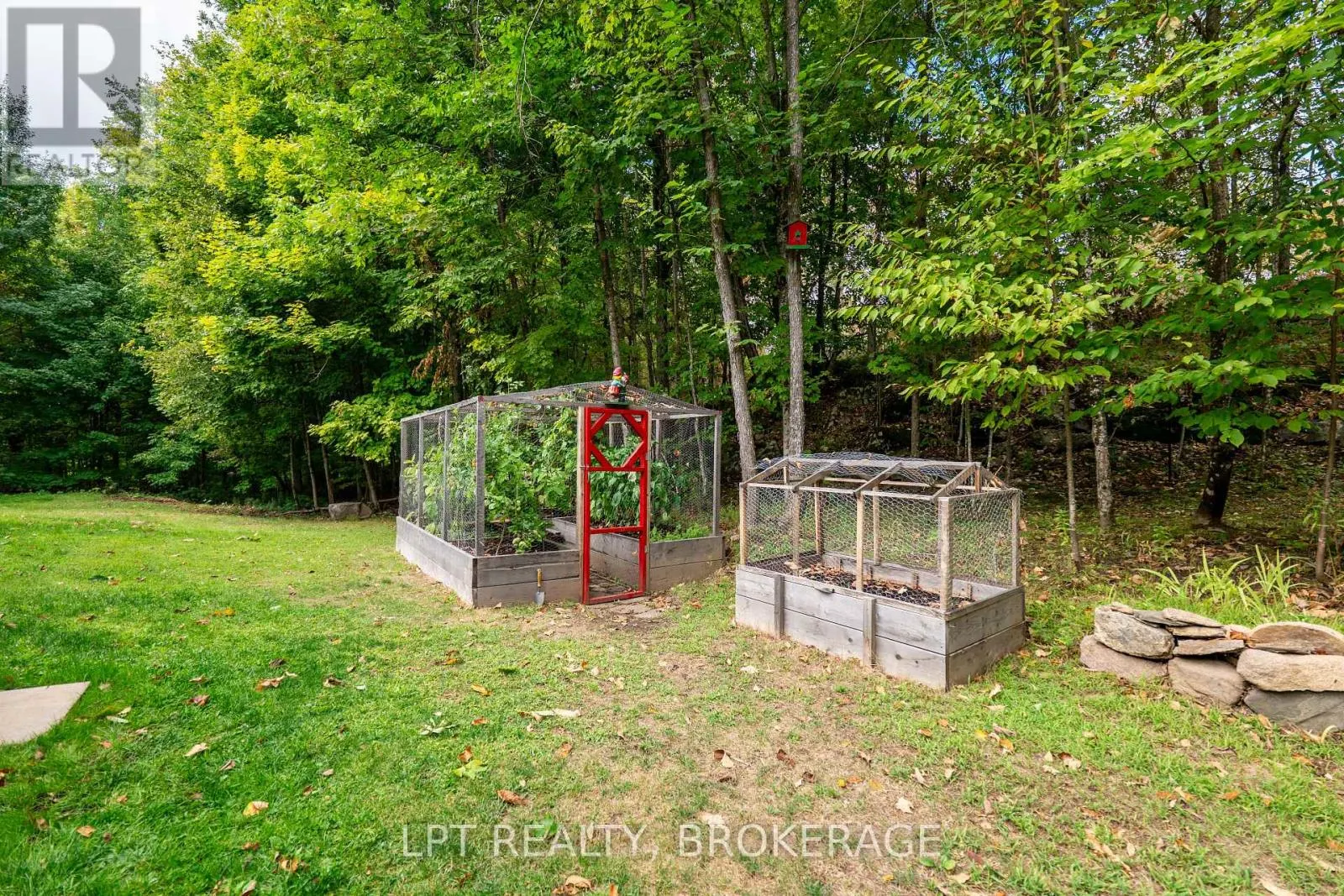 331 MAPLE GROVE LANE