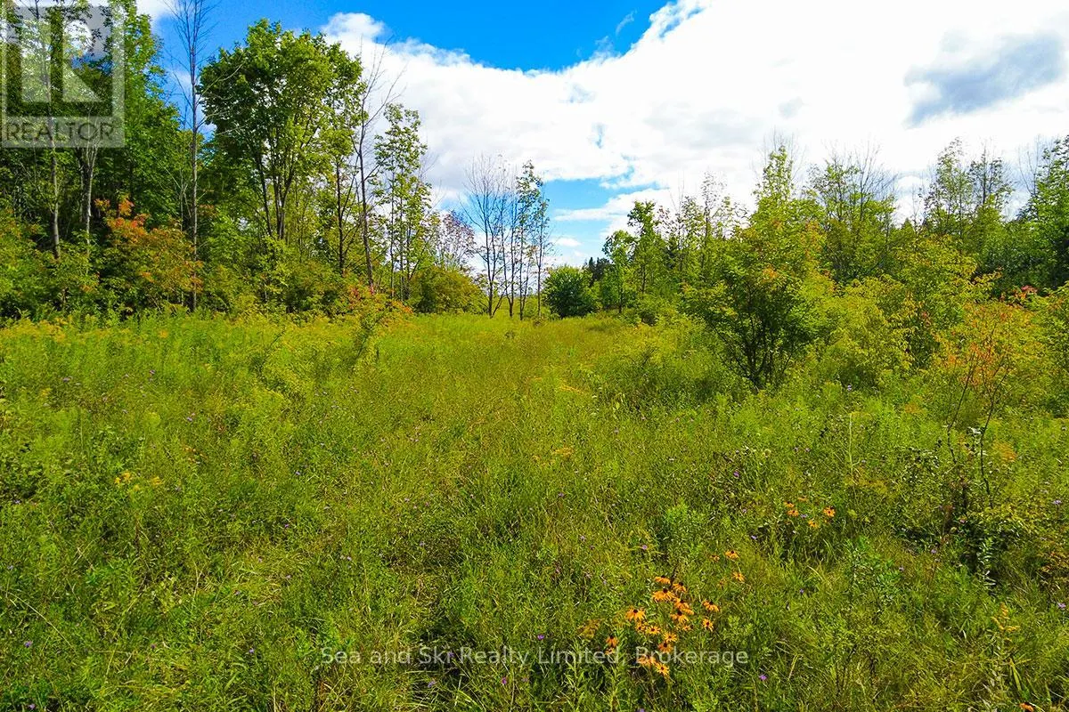 195908 GREY ROAD 7 ROAD S