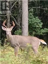 LOT 28 R13 ROAD