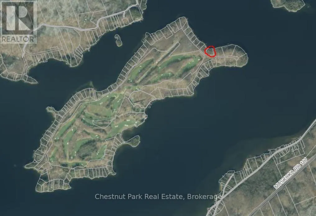 300 BIGWIN ISLAND