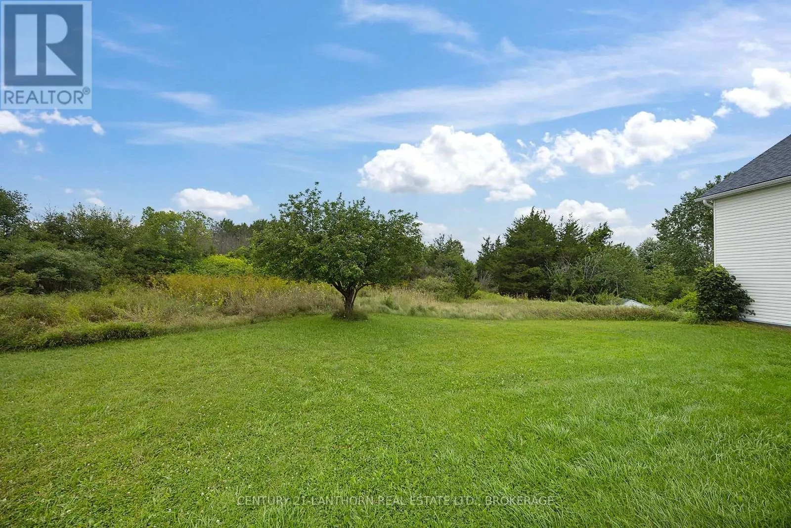 38 FITCHETT ROAD