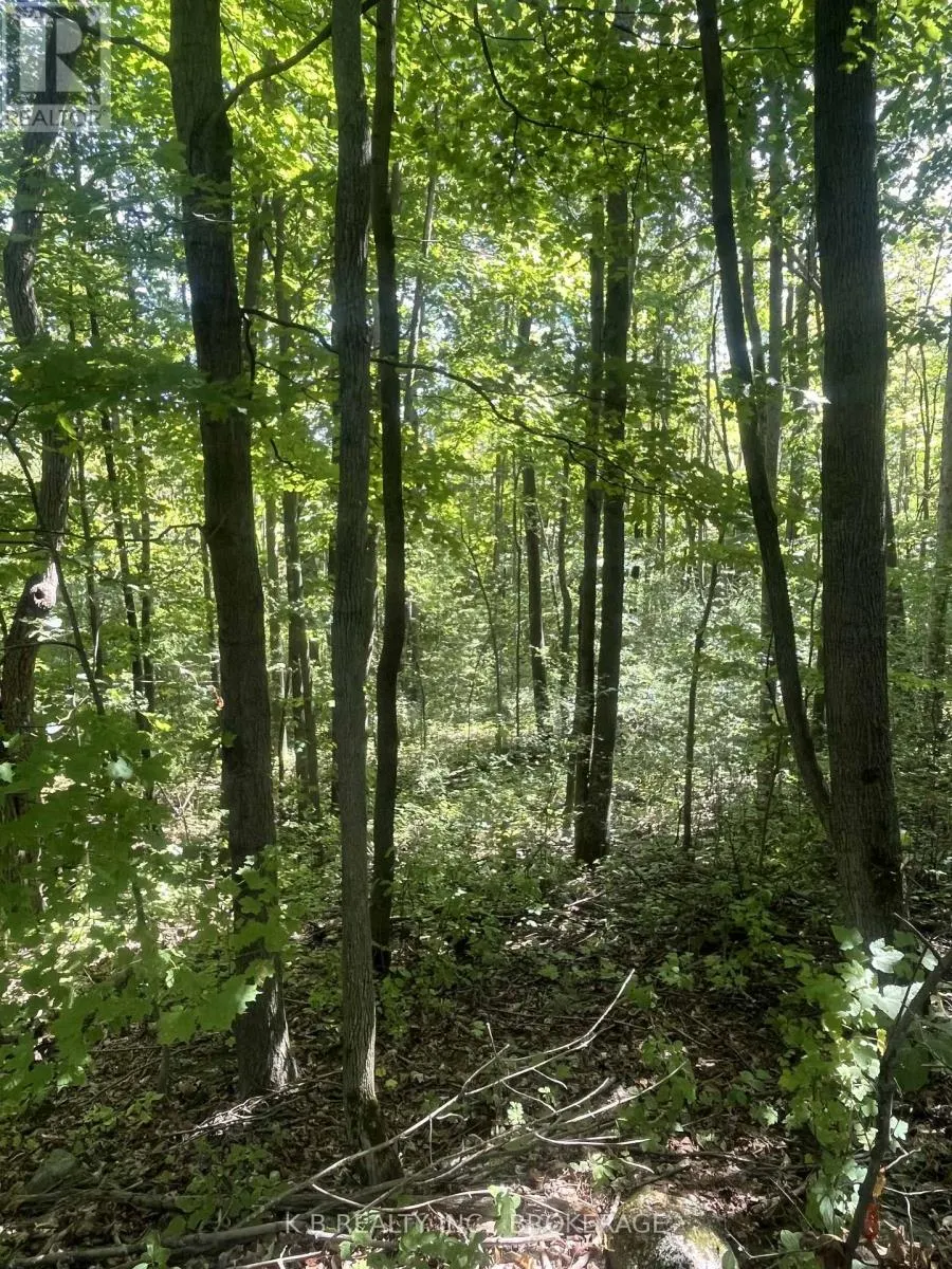 15598 COUNTY ROAD 2 ROAD