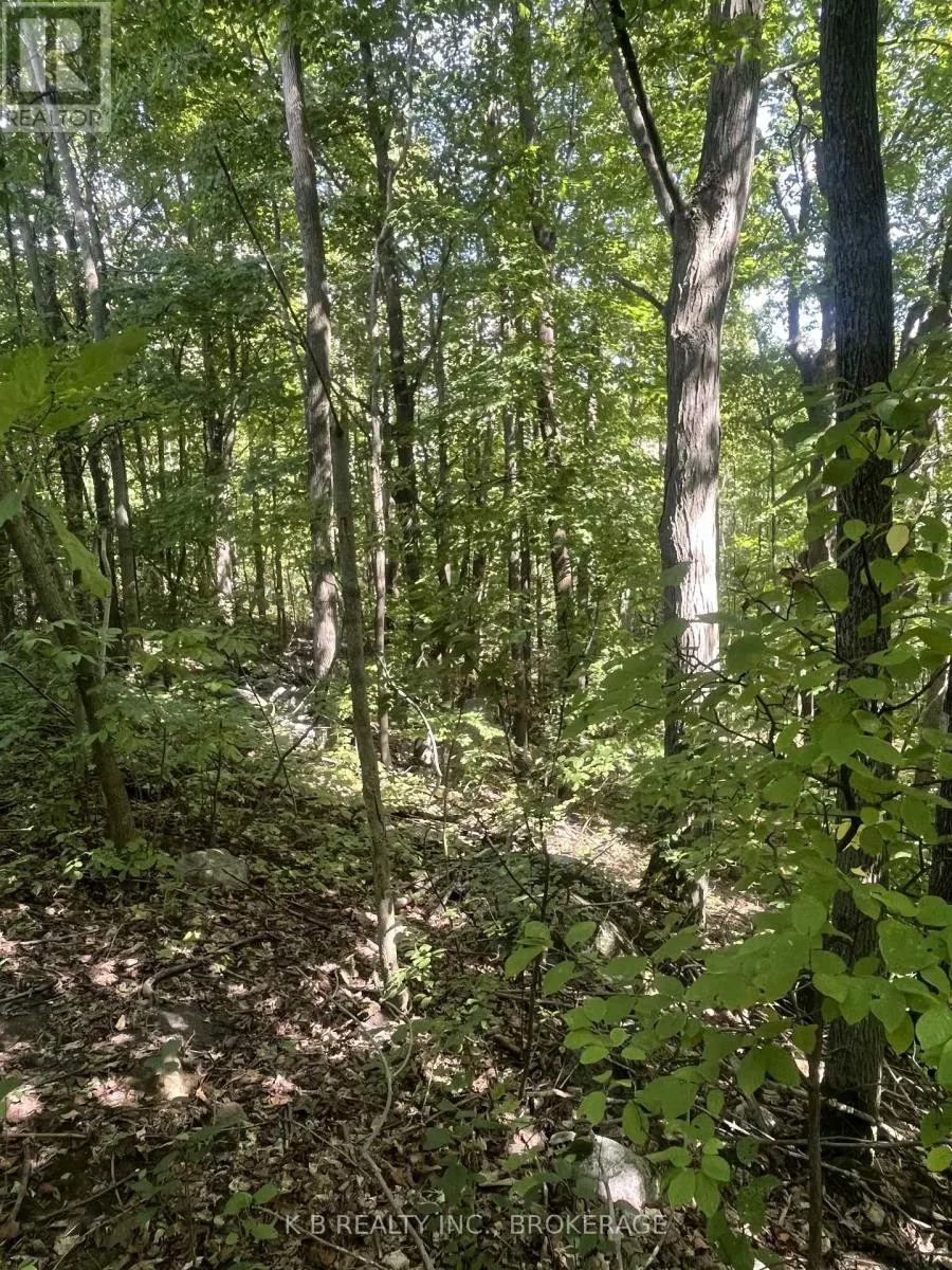 15598 COUNTY ROAD 2 ROAD
