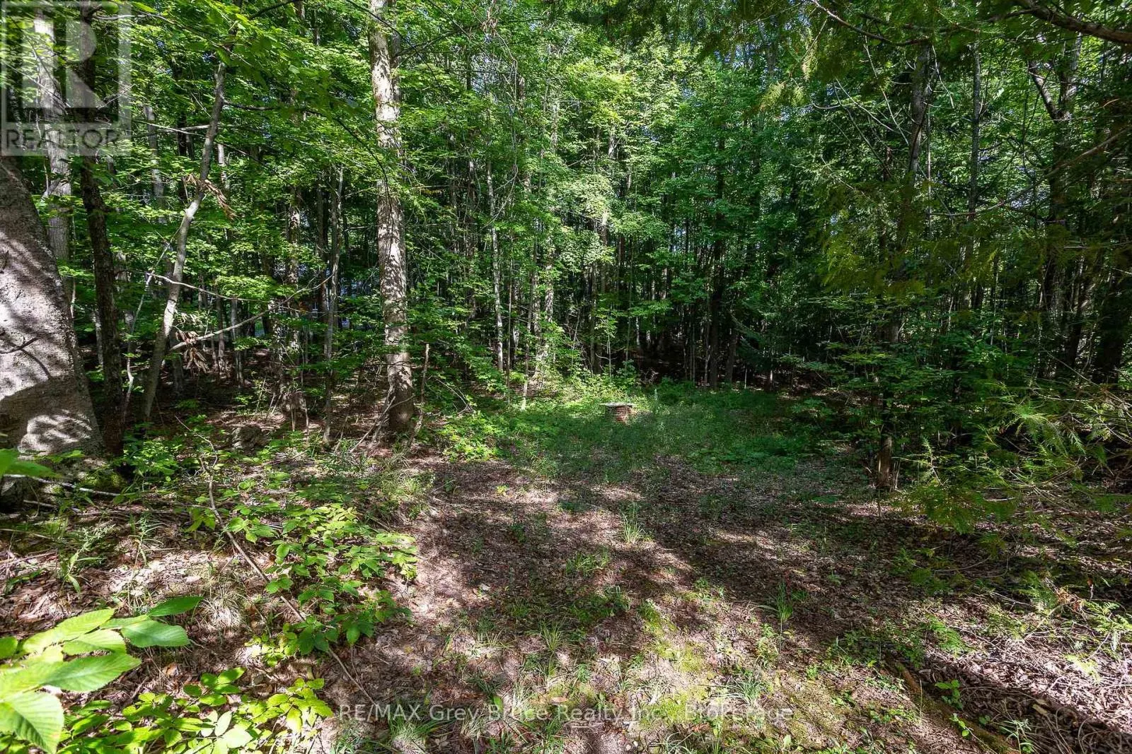 103777 GREY ROAD 18 ROAD