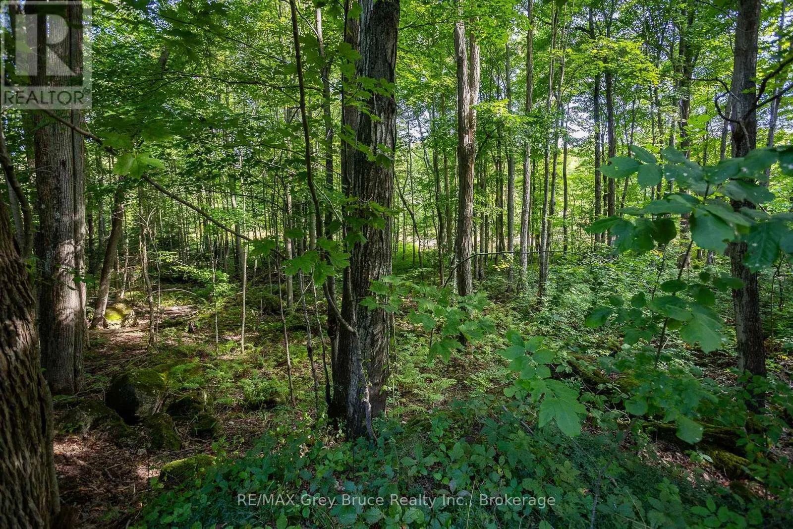 103777 GREY ROAD 18 ROAD