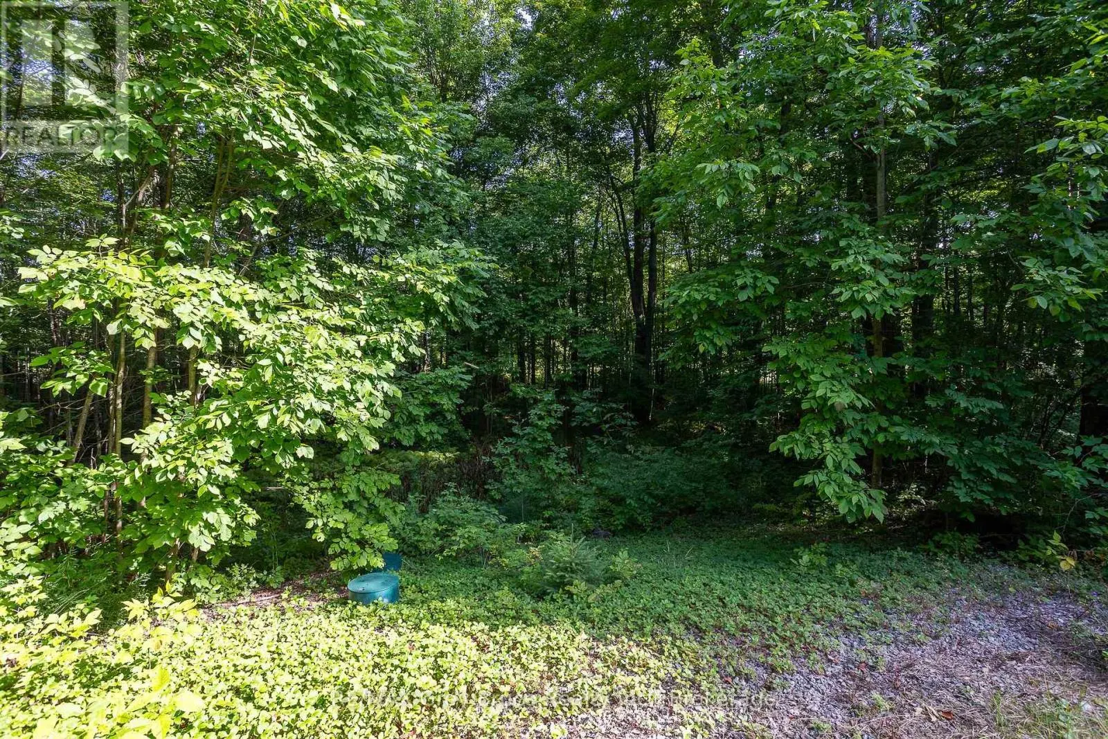103777 GREY ROAD 18 ROAD