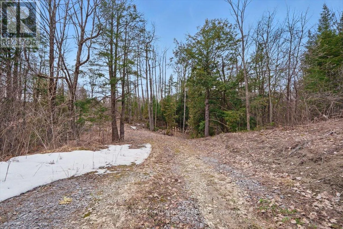 1219 DUNNING ROAD
