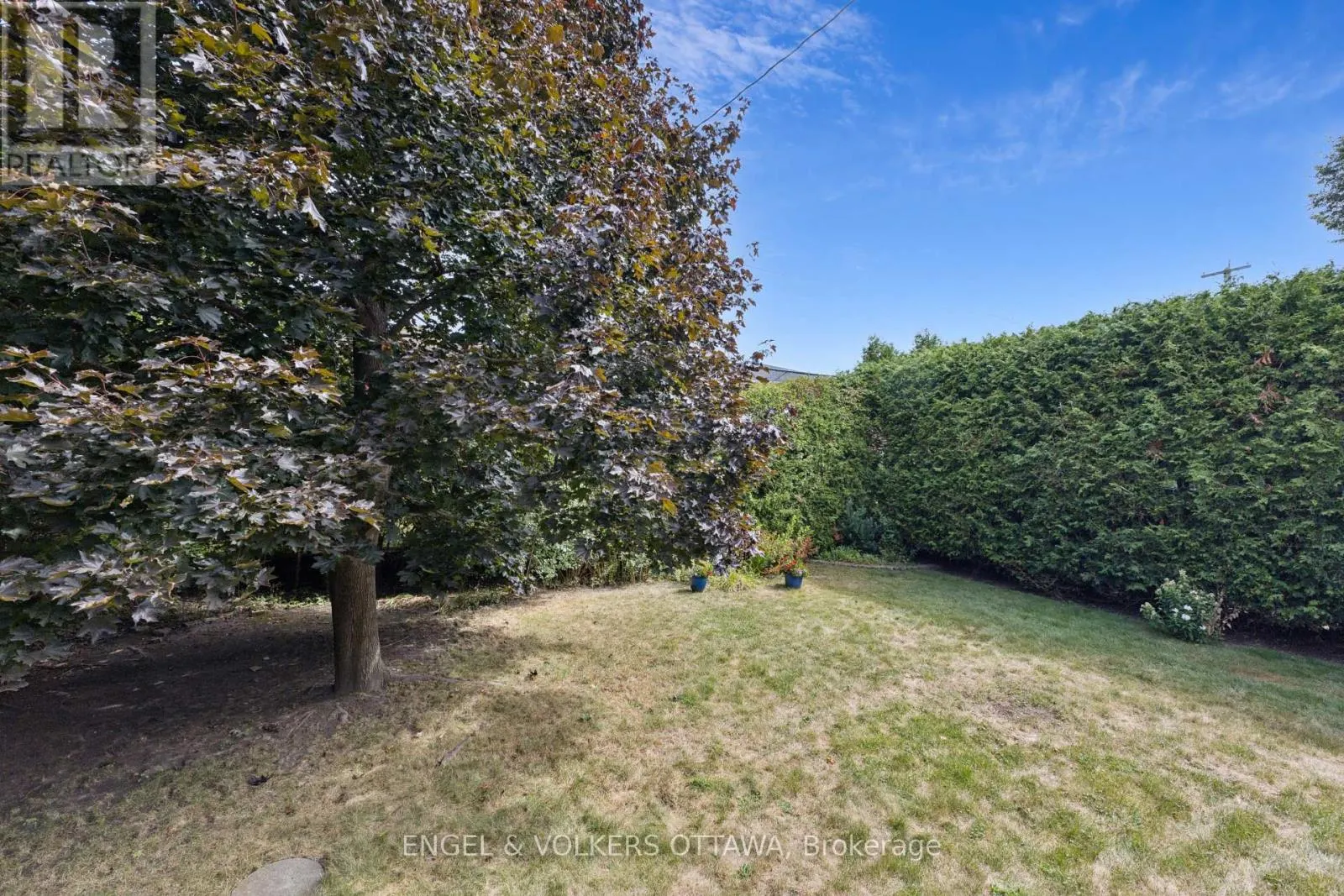 1161 CAMEO DRIVE