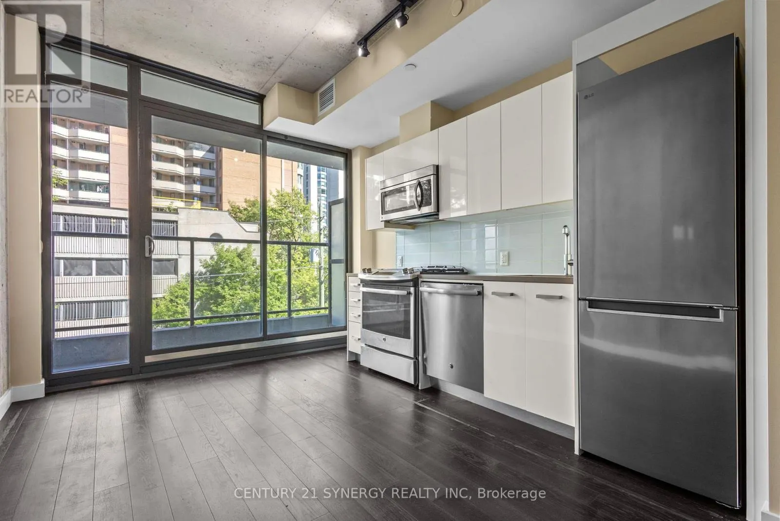 313 - 224 LYON STREET N