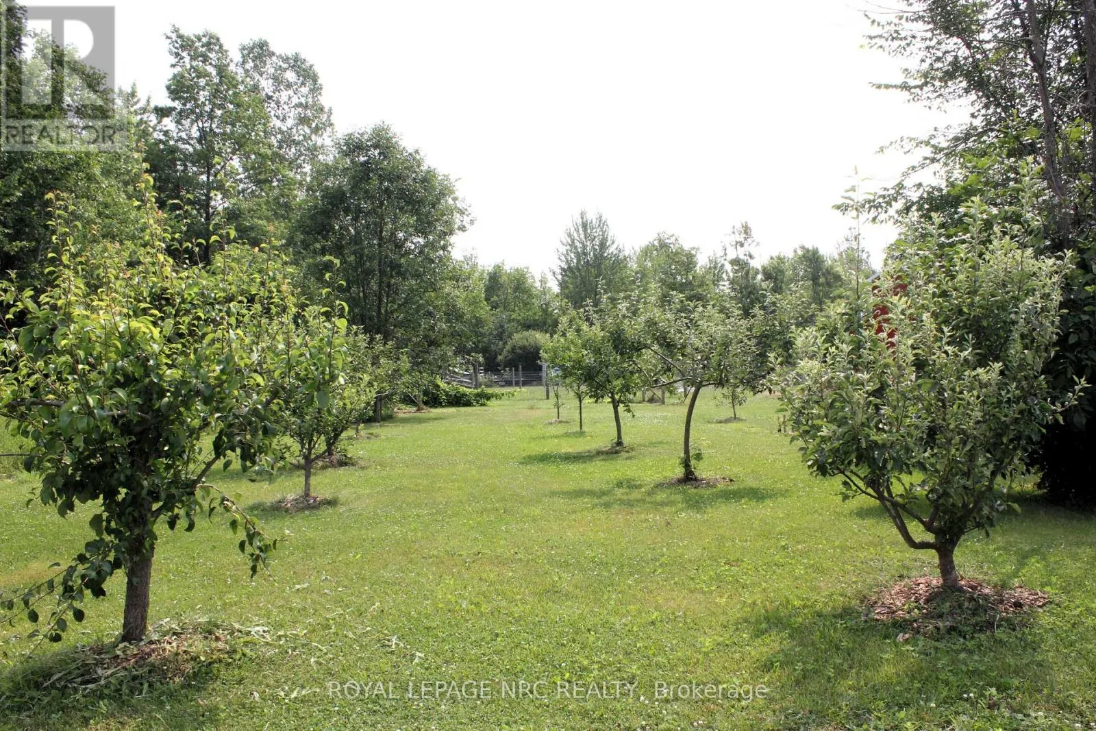 4511 MILLER ROAD