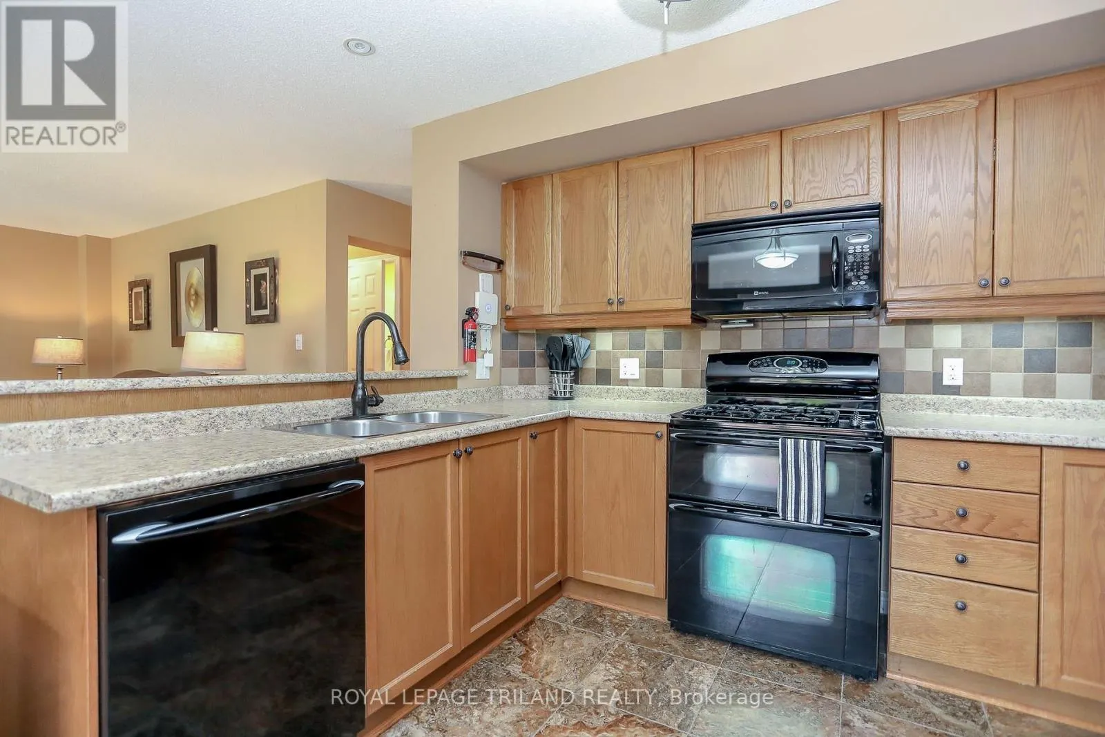 1356 BIRCHWOOD DRIVE